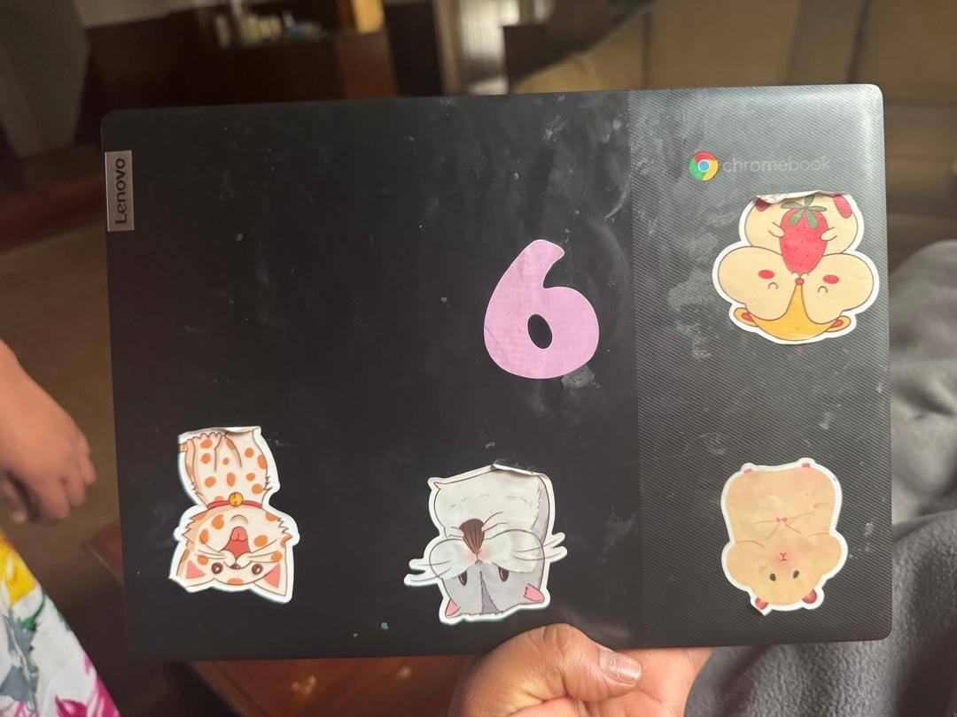 Customer provided, click to load a larger version