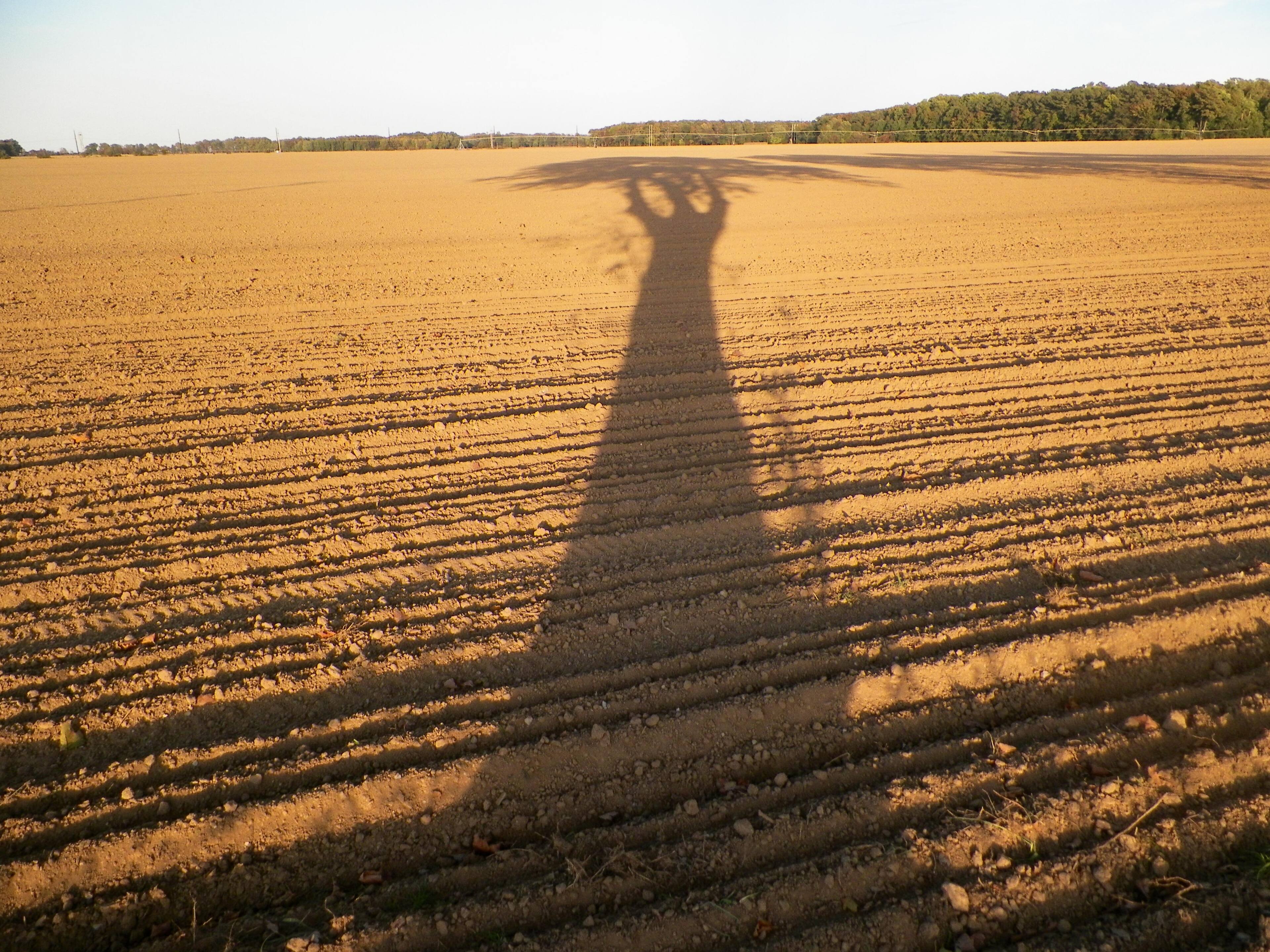 Best buy keeps my camera going., click to load a larger version