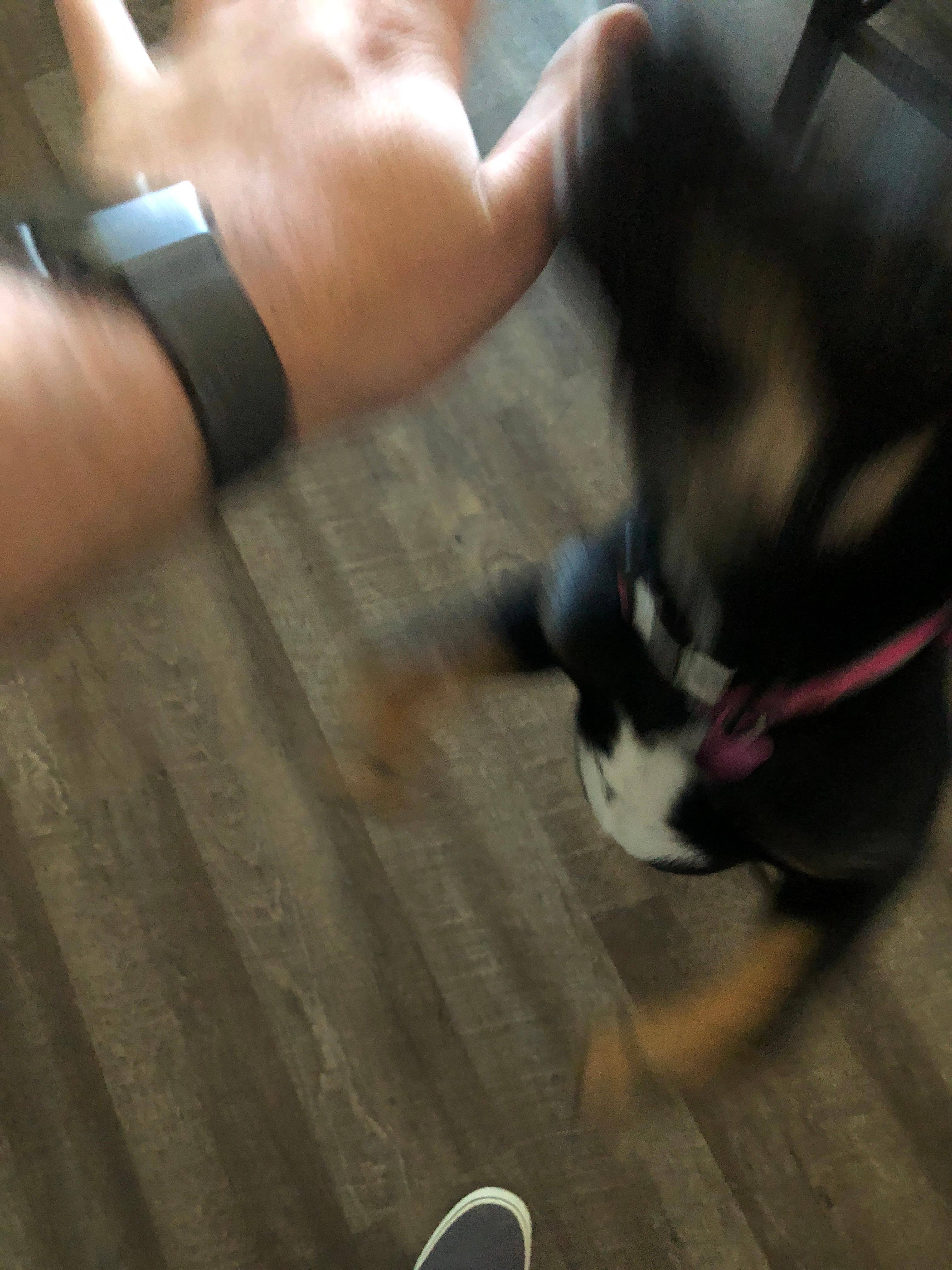 Customer provided image, click to load a larger version