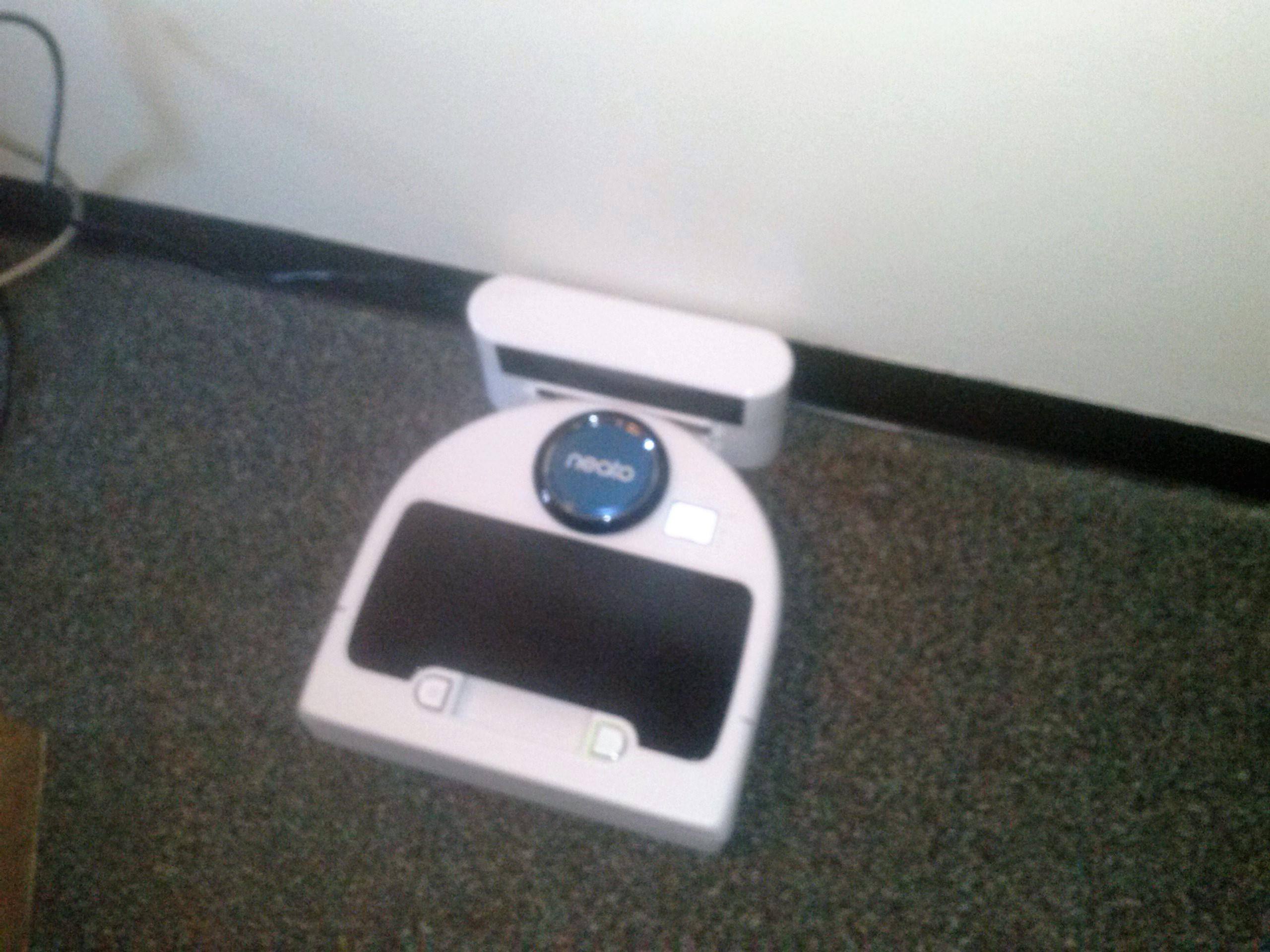 Name: Johnny Cat, click to load a larger version