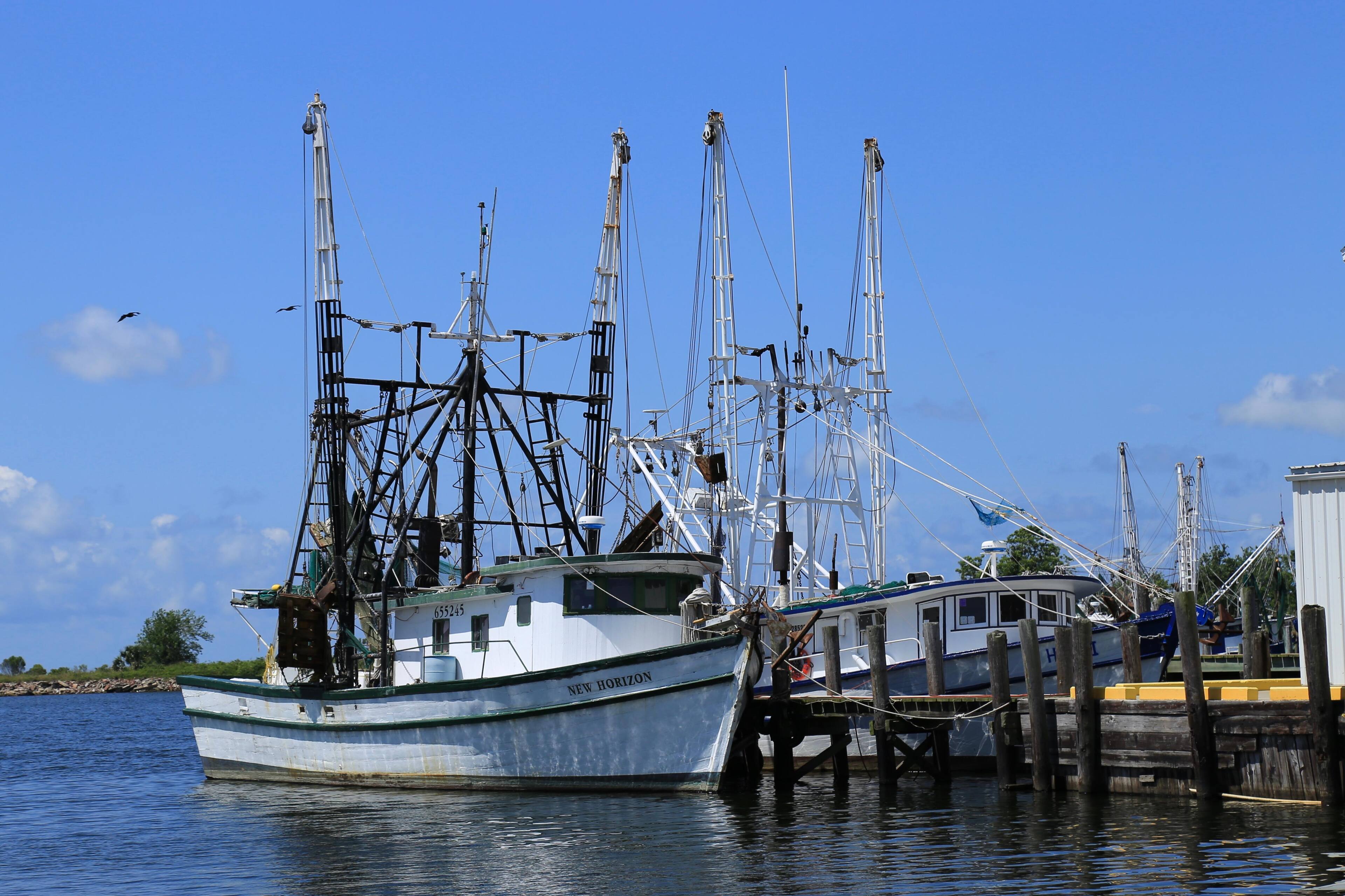 6D with EF 24-105mm lenses, click to load a larger version