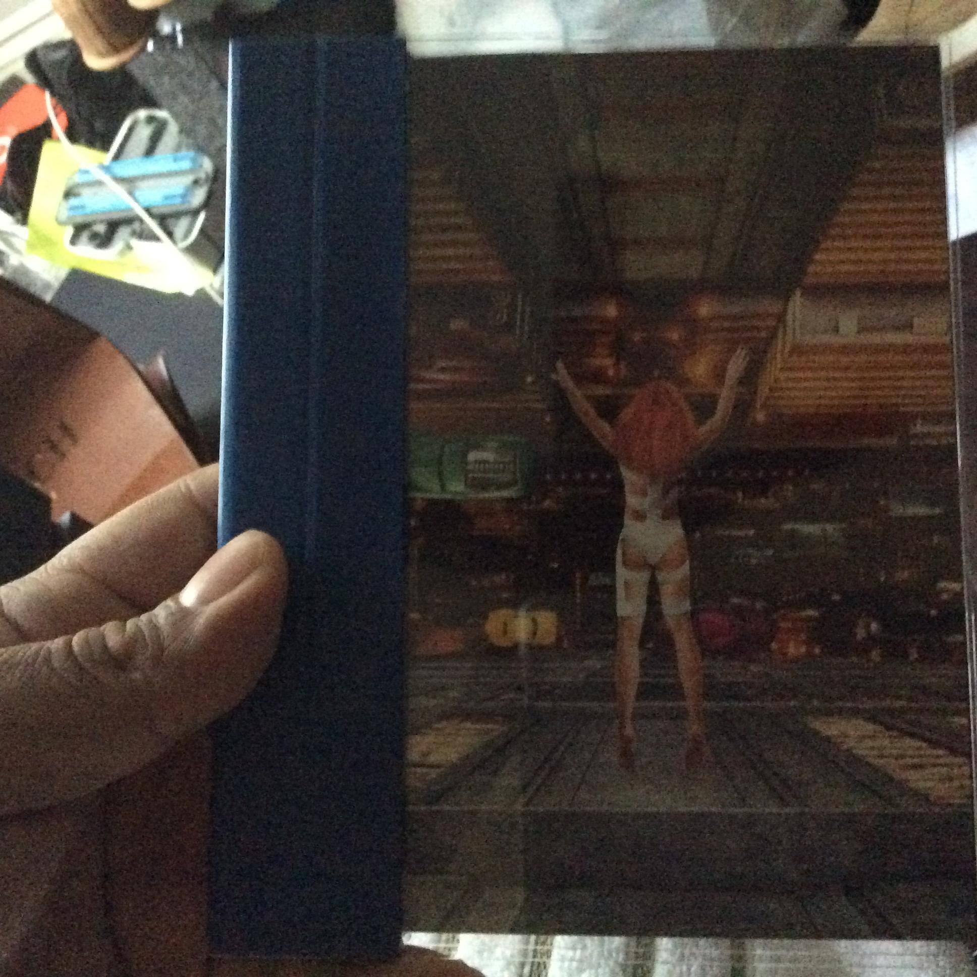 The cover, click to load a larger version