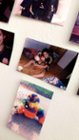 Best Buy: Polaroid Snap Touch 13.0-Megapixel Digital Camera White