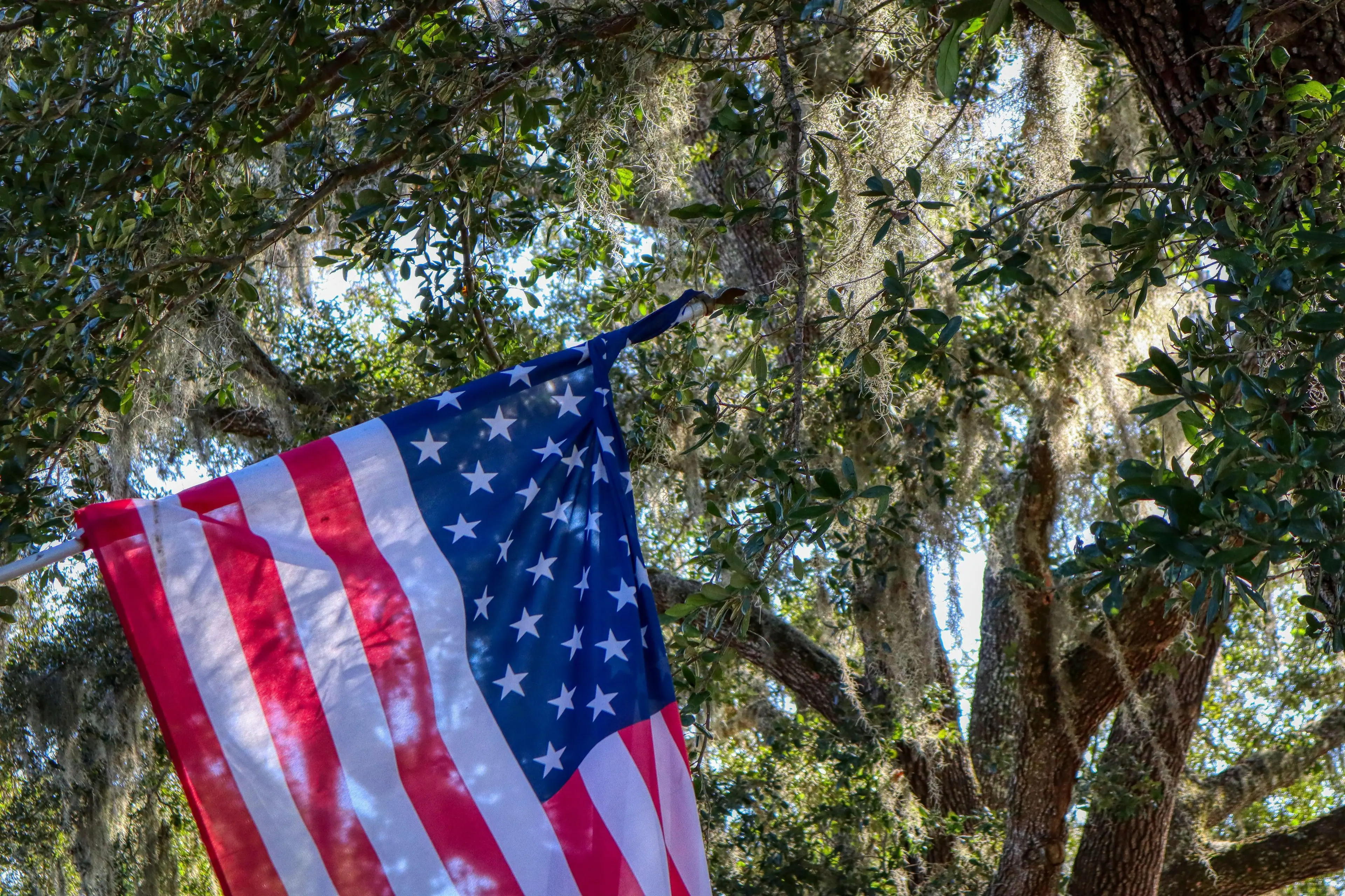 Our Flag outside my home, click to load a larger version