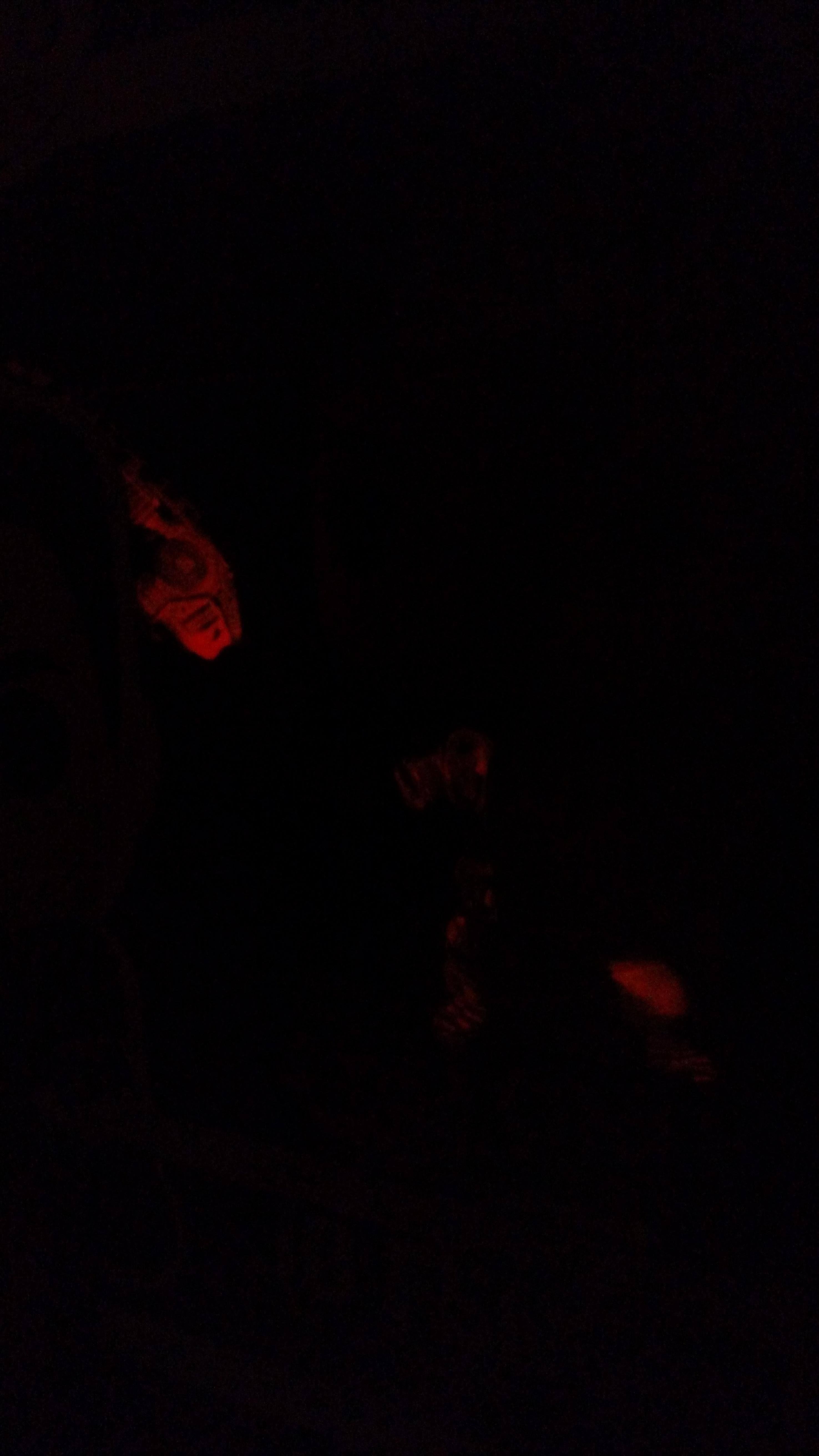 With orange glow, in the dark, click to load a larger version