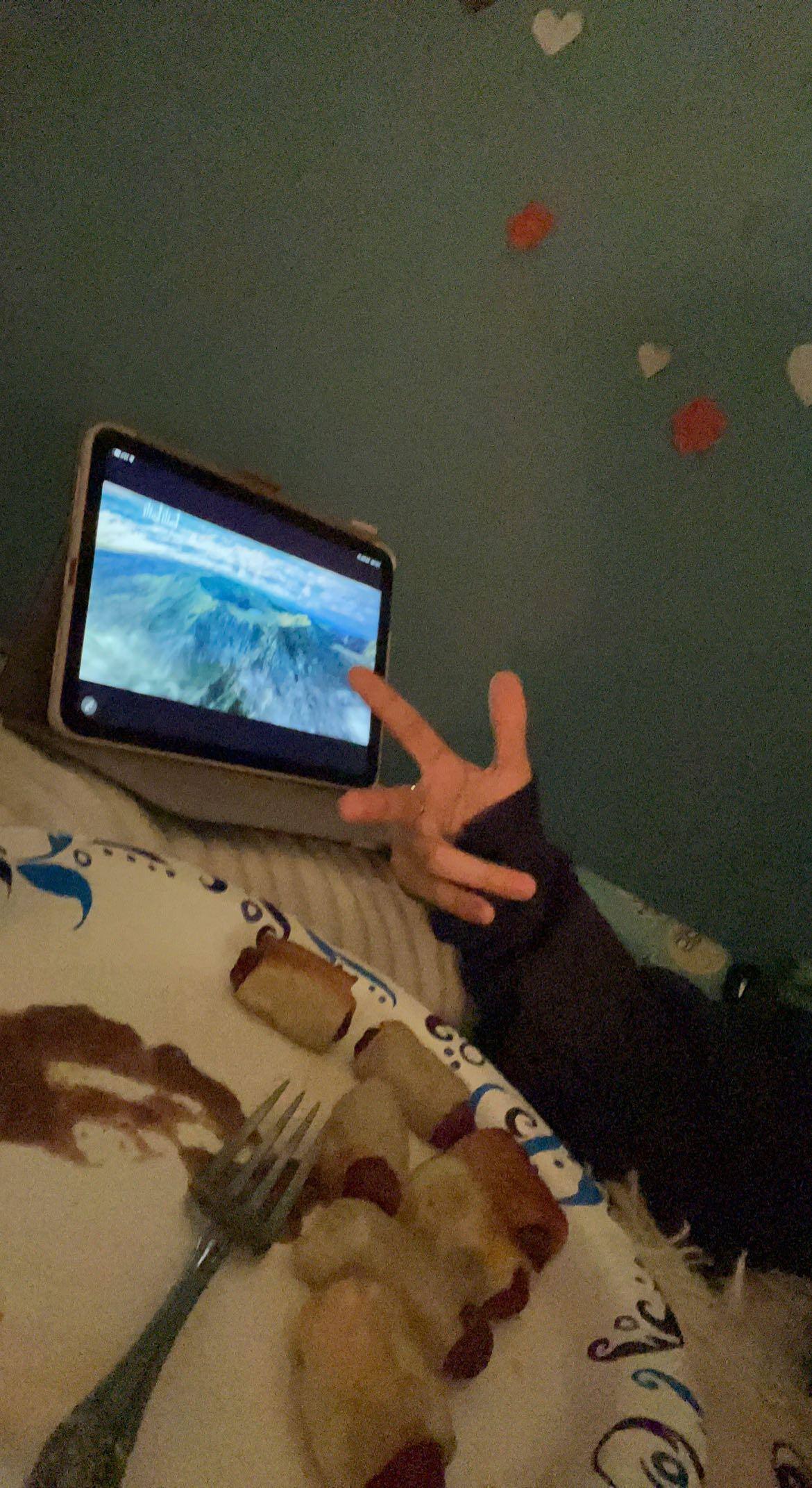 Customer provided, click to load a larger version