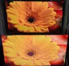 55U6K image above older 55H9F, click to load a larger version