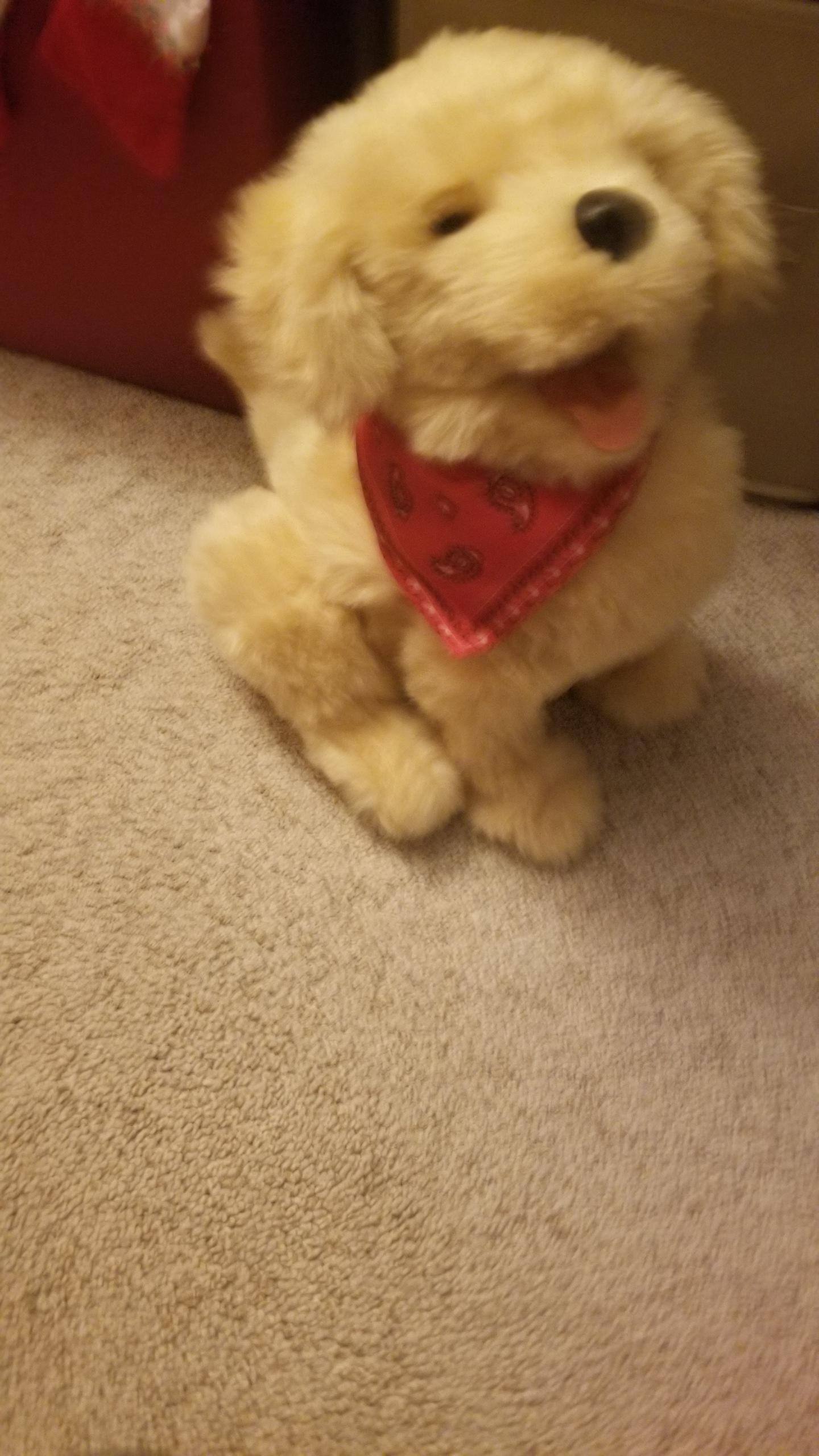 Customer provided image, click to load a larger version