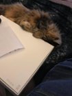 Guarding my Mac while not in use, click to load a larger version