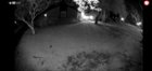 Night vision, click to load a larger version