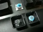 The GX Blue switches and keycaps can accept O-ring type dampeners., click to load a larger version