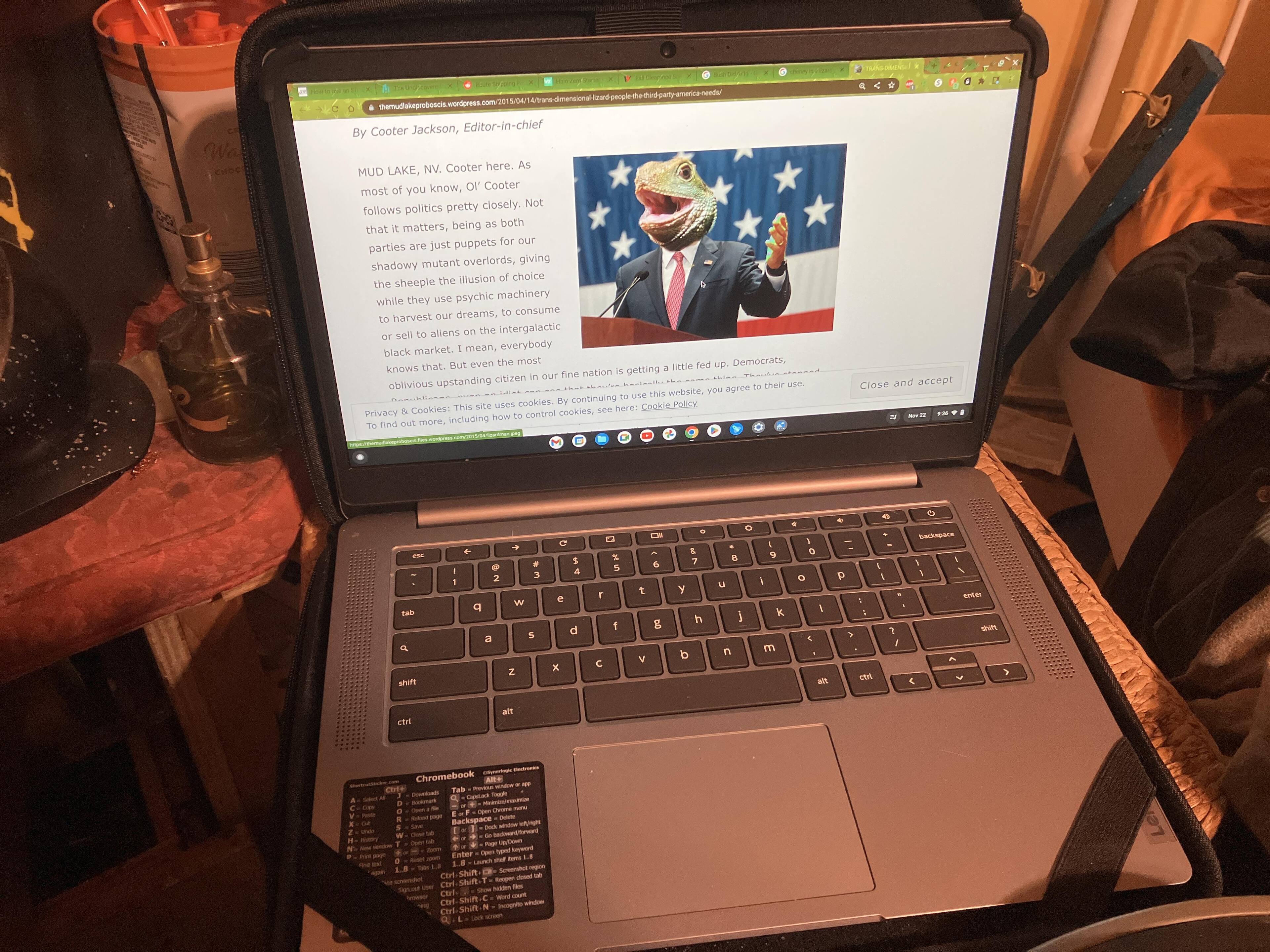 Customer provided, click to load a larger version