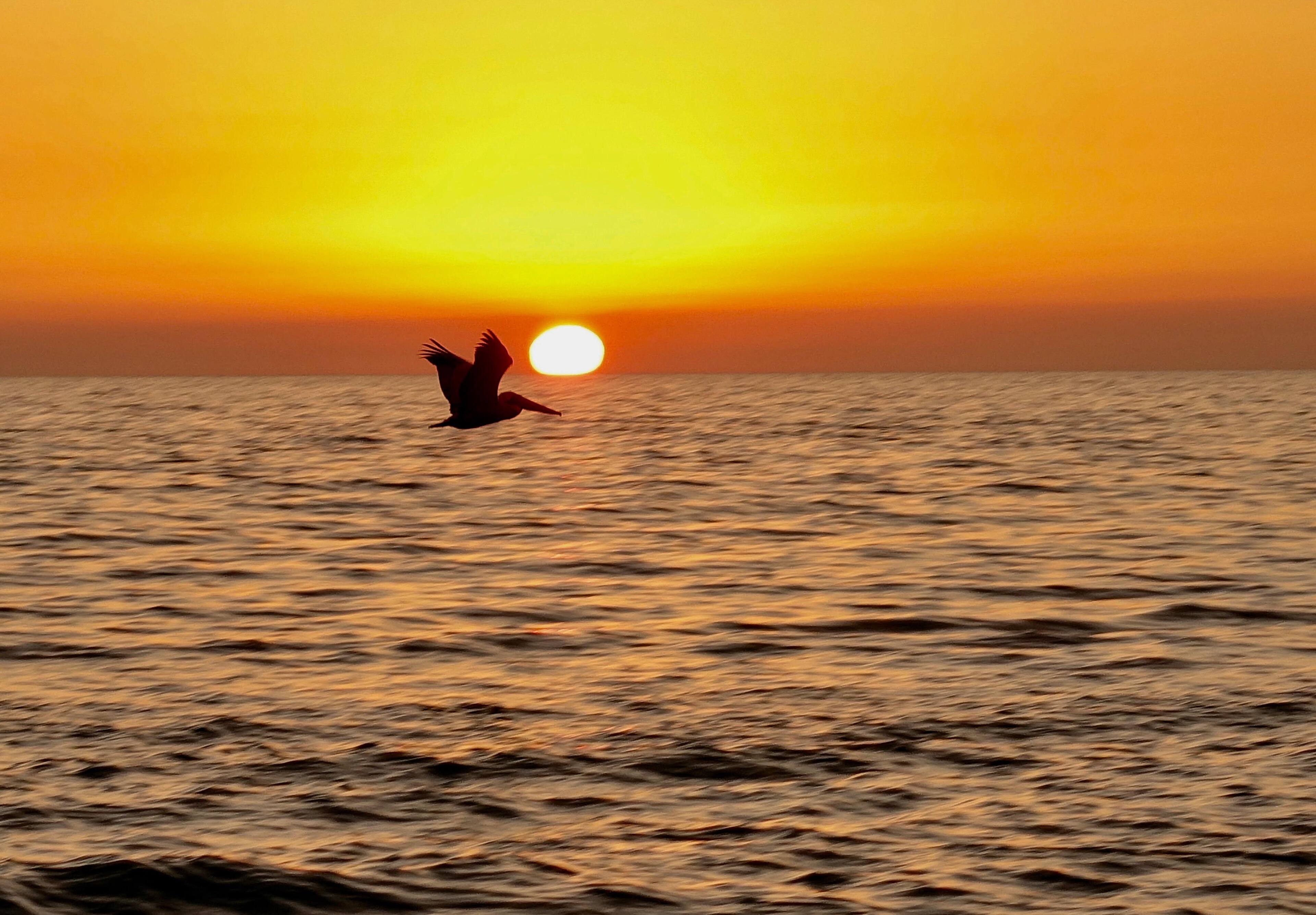 St. Pete's Beach, FL, click to load a larger version