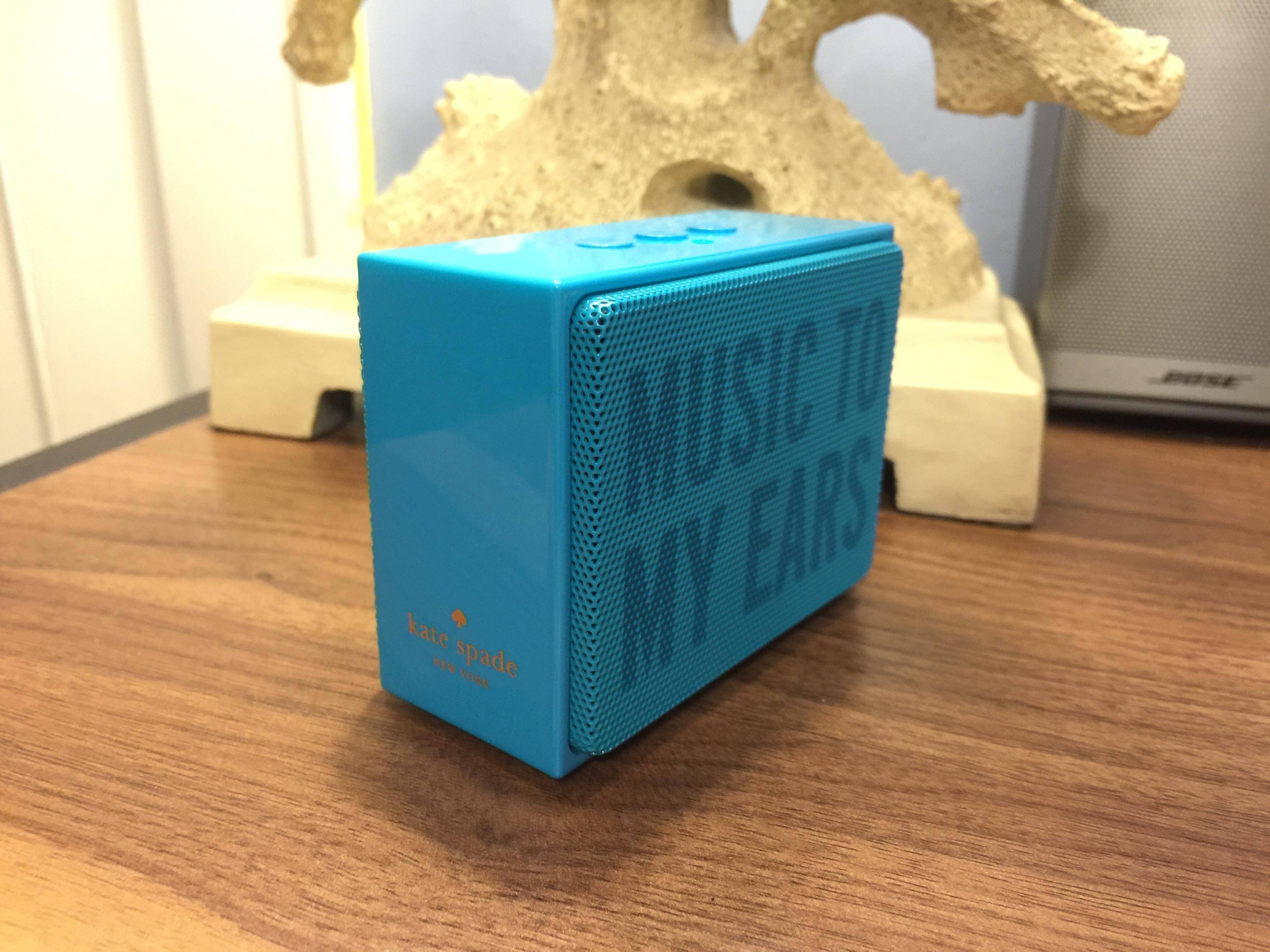 It fits in the palm of my hand., click to load a larger version