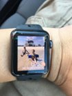 スマートフォン/携帯電話 その他 Best Buy: Apple Watch Nike+ Series 3 (GPS) 38mm Space Gray 