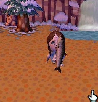 My Big Catch with 15,000 bells!, click to load a larger version