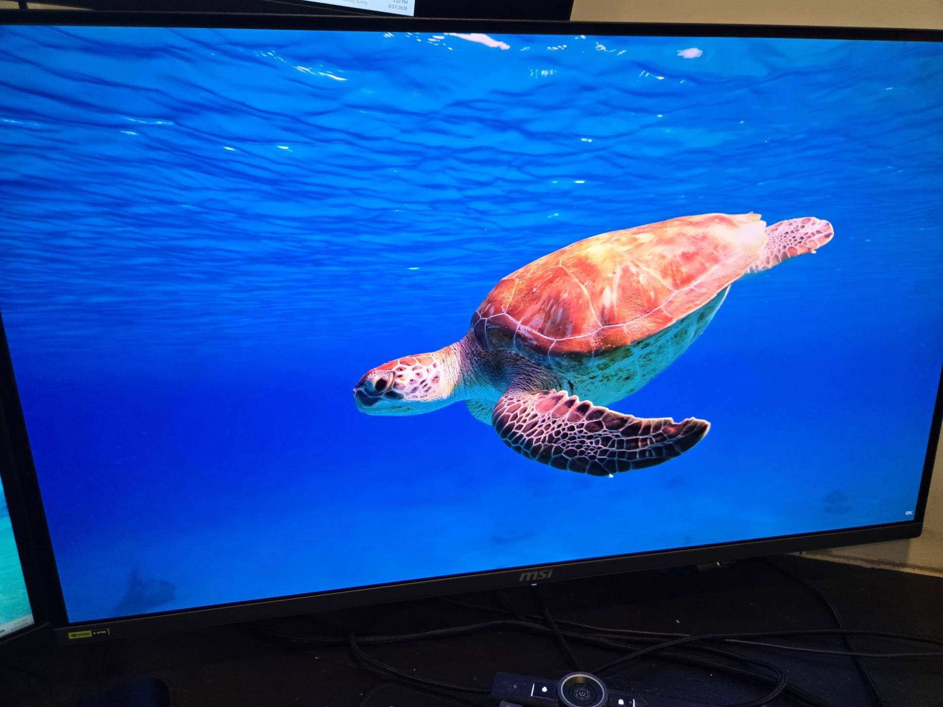 Customer provided image, click to load a larger version