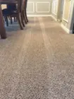 Cleans carpets just like you would!, click to load a larger version
