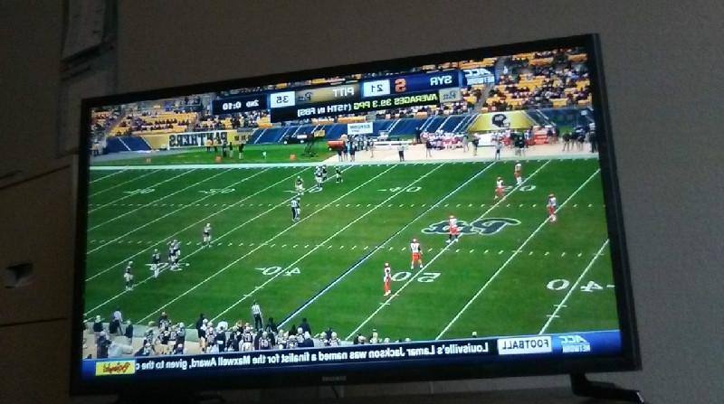 Great picture, click to load a larger version