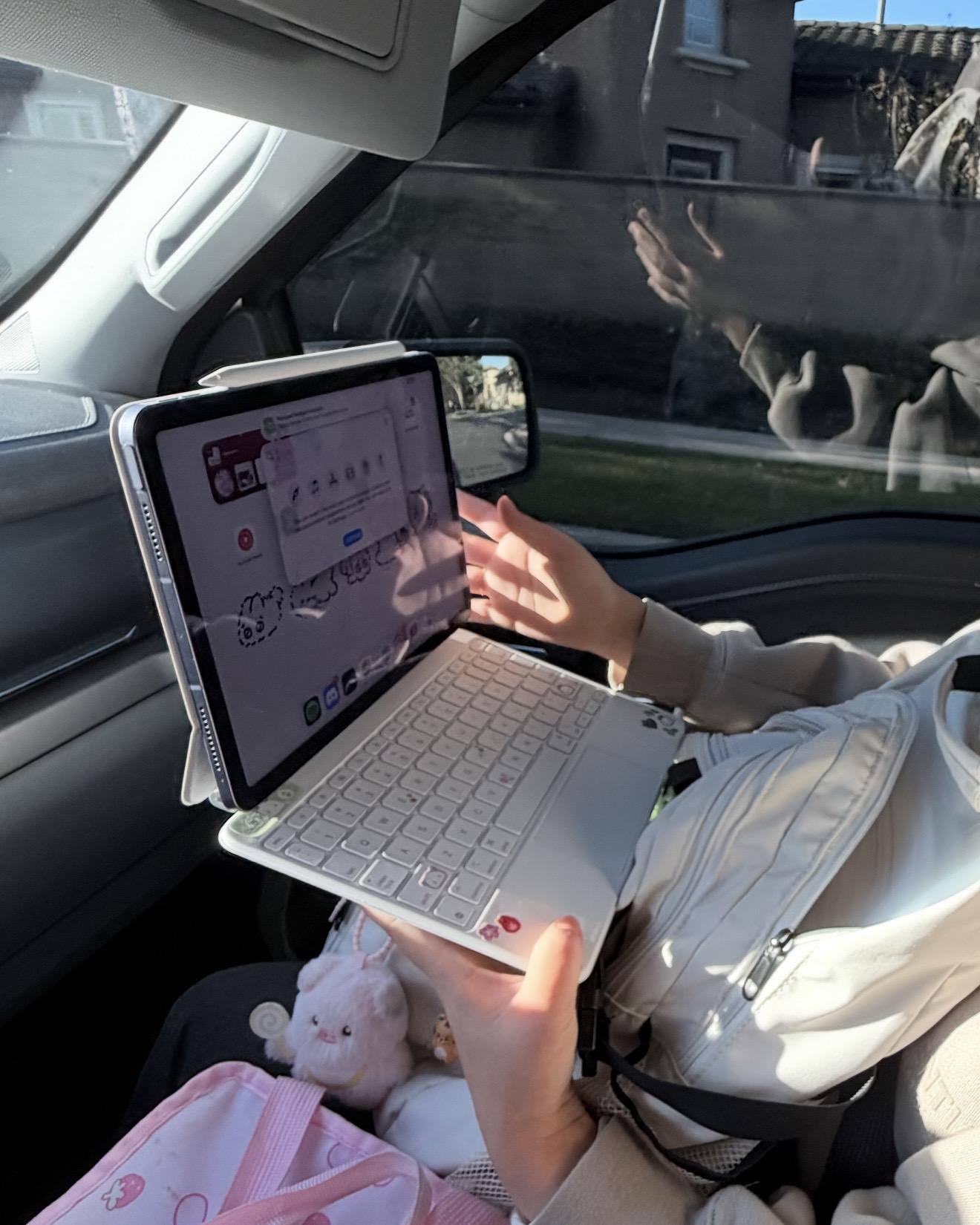 Customer provided, click to load a larger version