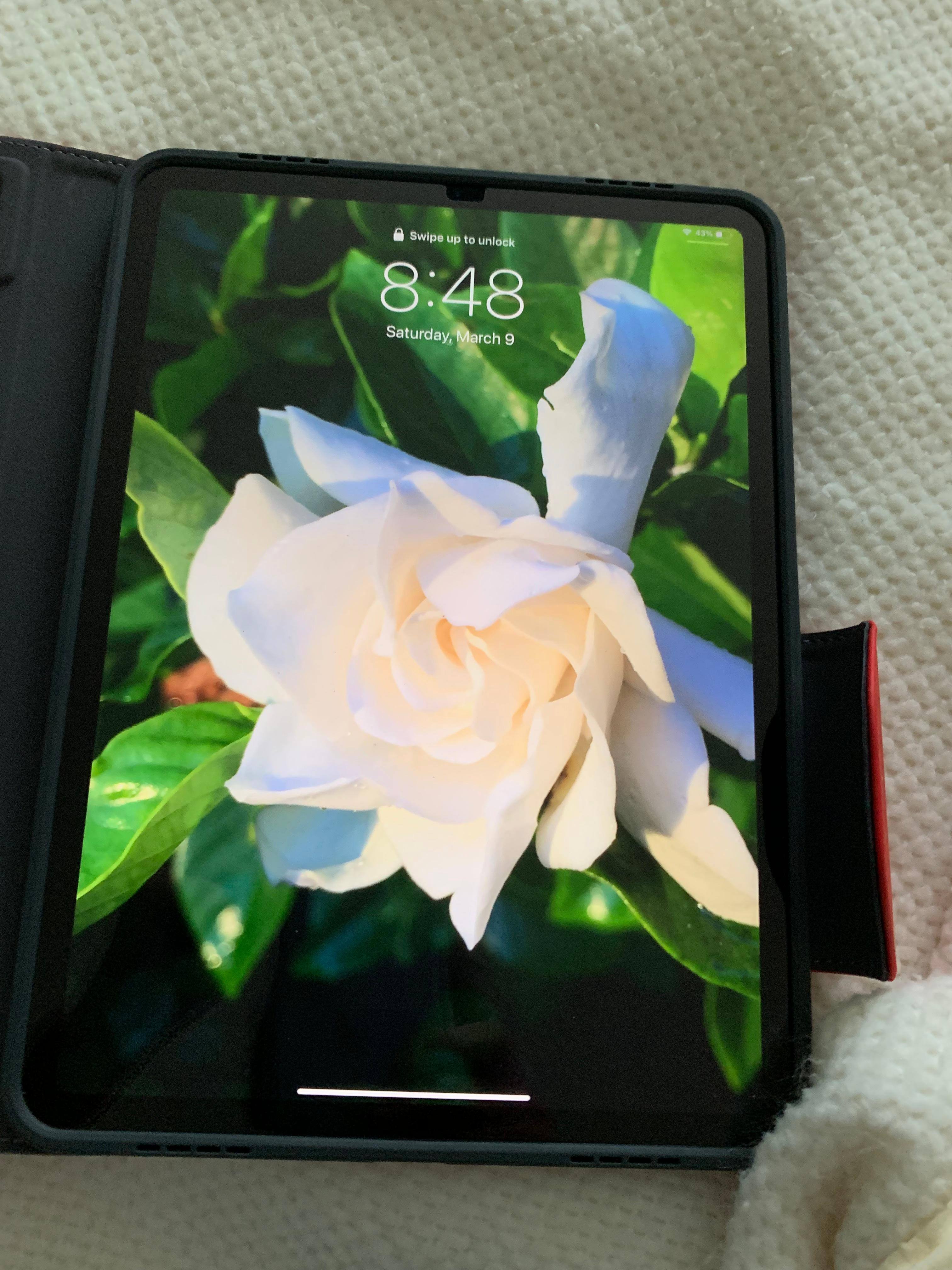 Great appearance, click to load a larger version