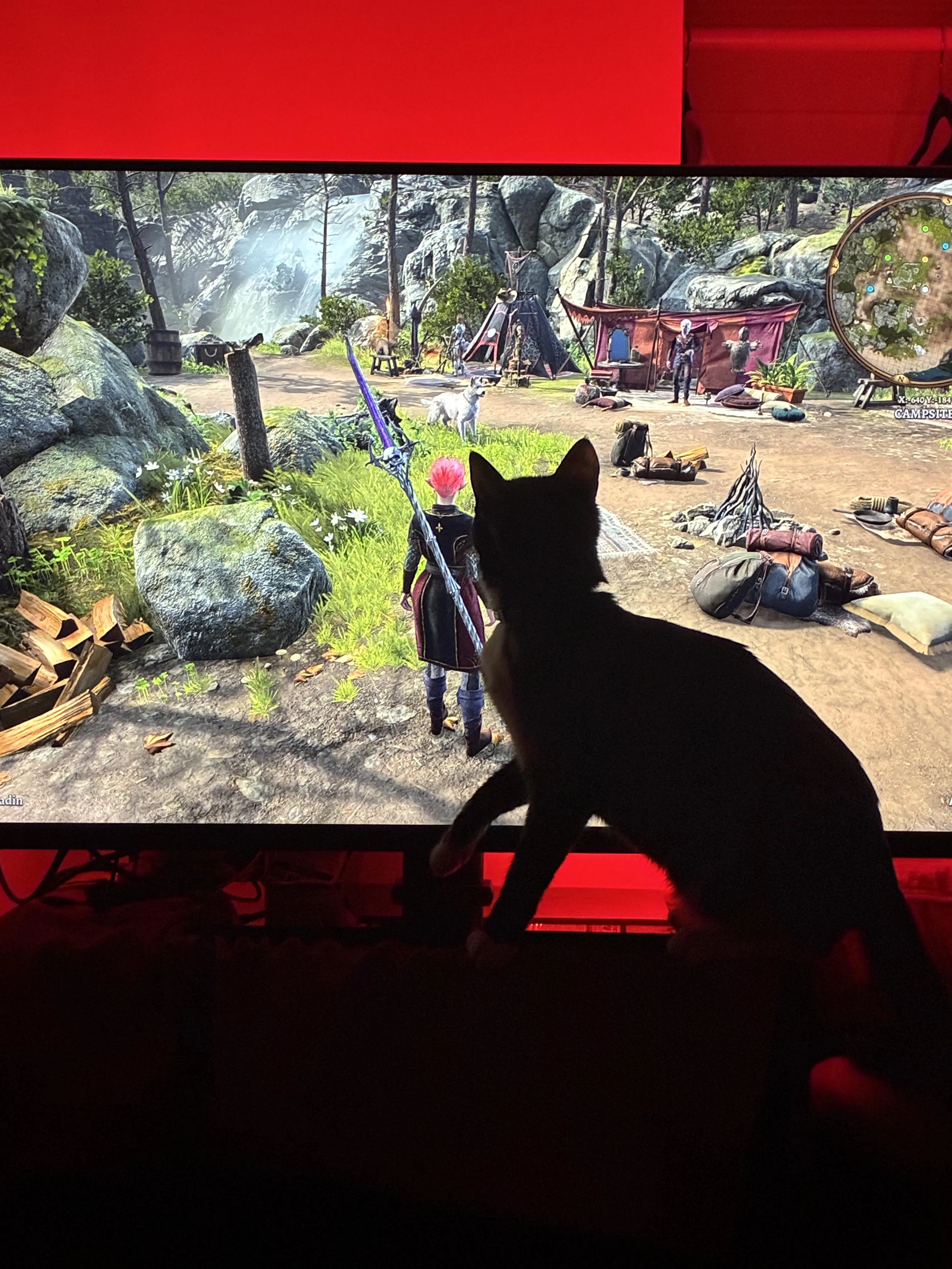 Customer provided image, click to load a larger version