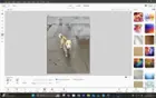 After using removal tool, click to load a larger version