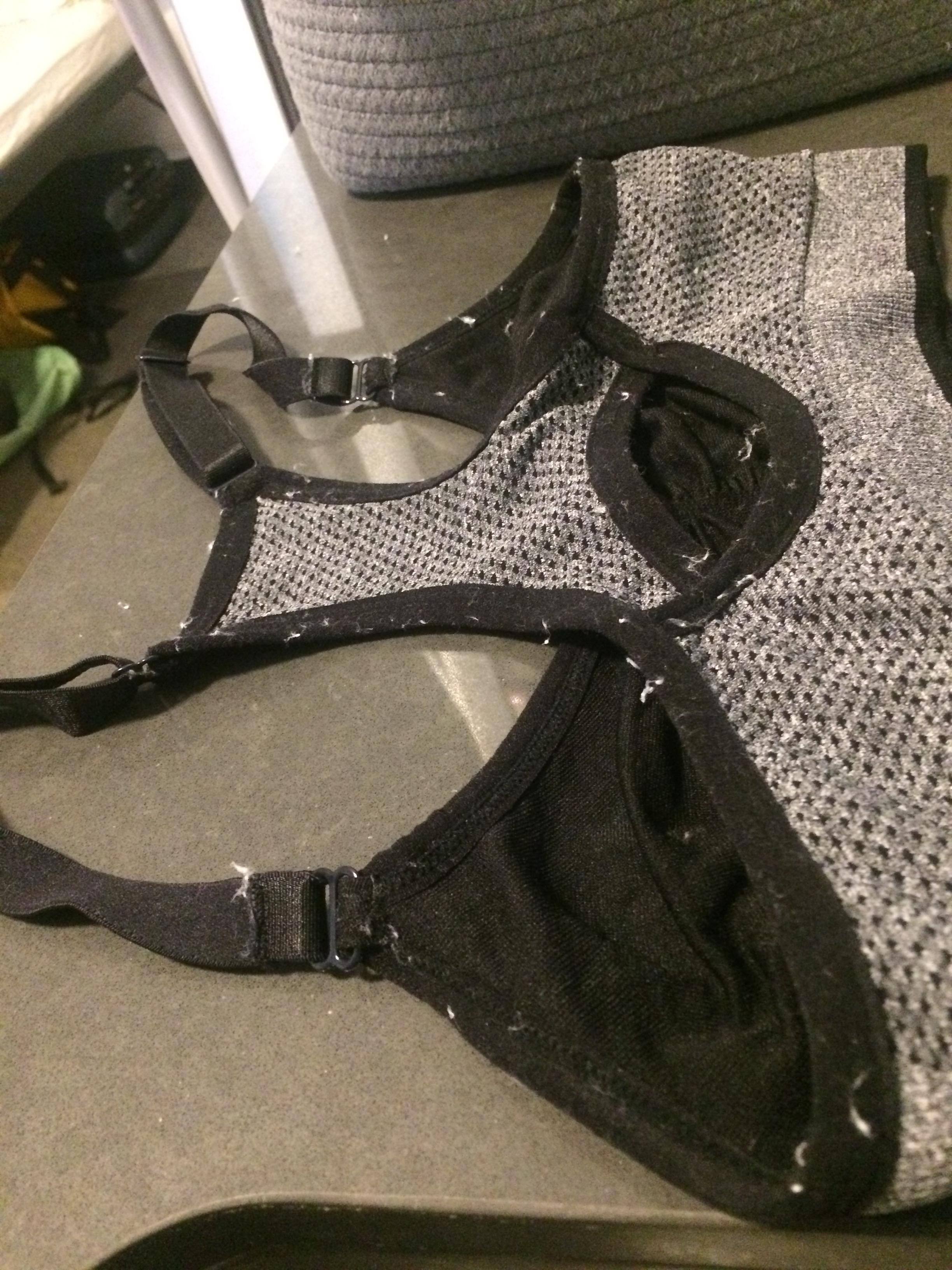 My sports bra was covered in all of the lint that got torn out of various other clothes., click to load a larger version