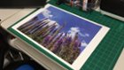 ZV-1 Photo printed on Canon Pixma Pro 10 - Luster Paper, click to load a larger version