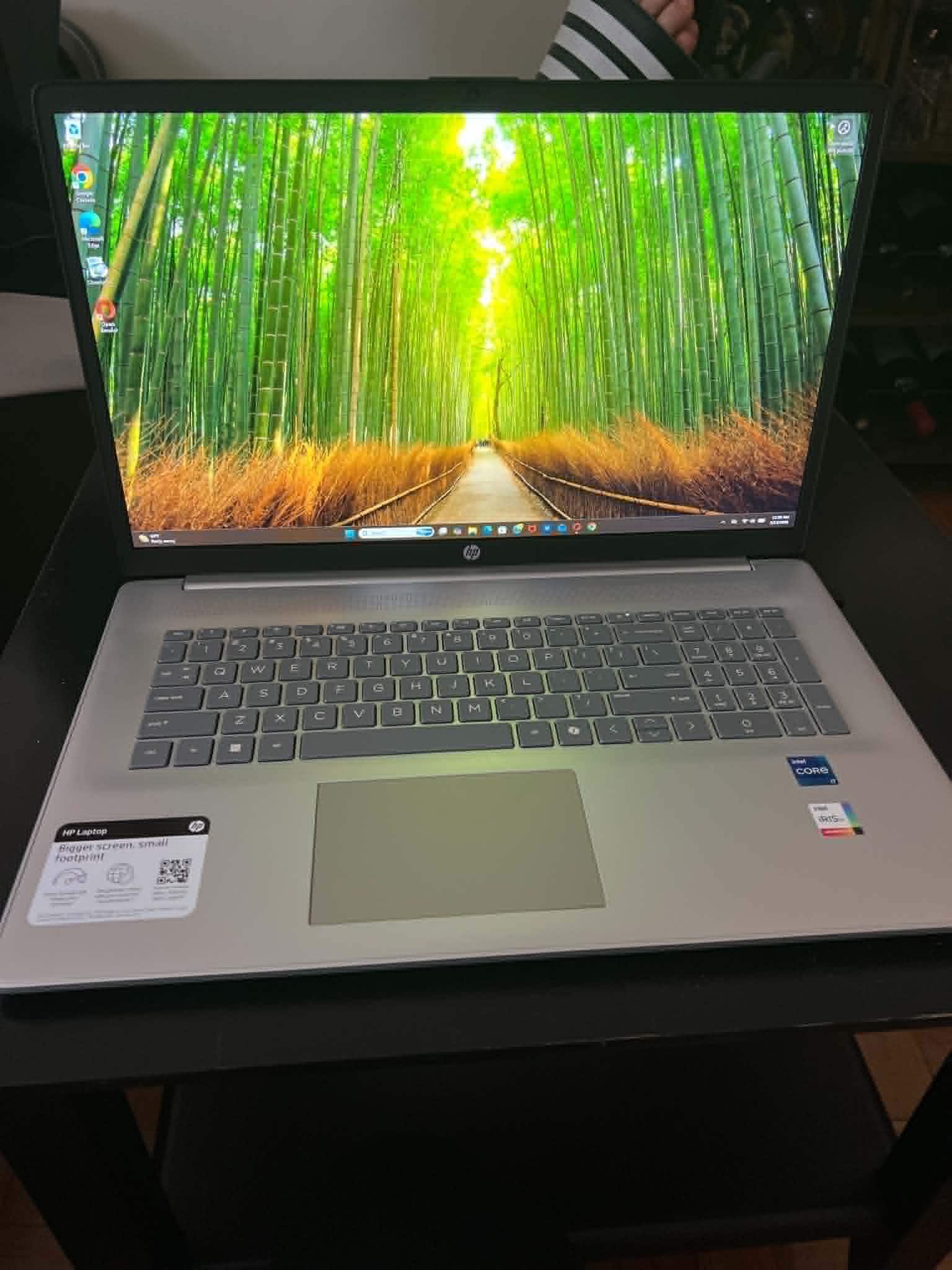 HP 17.3