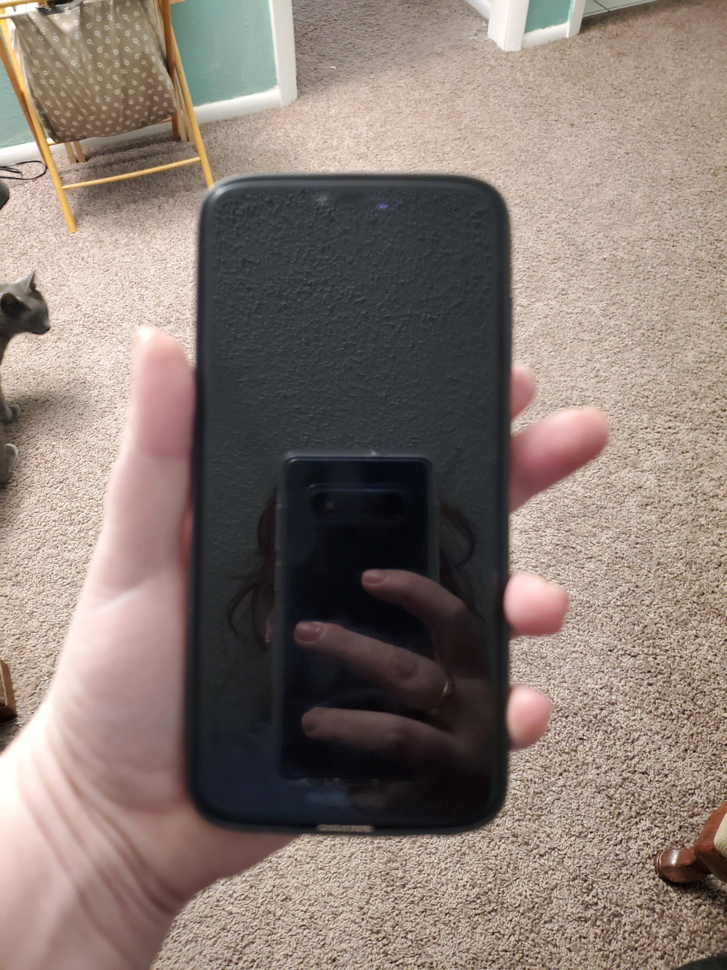 Looks Good From The Front, click to load a larger version