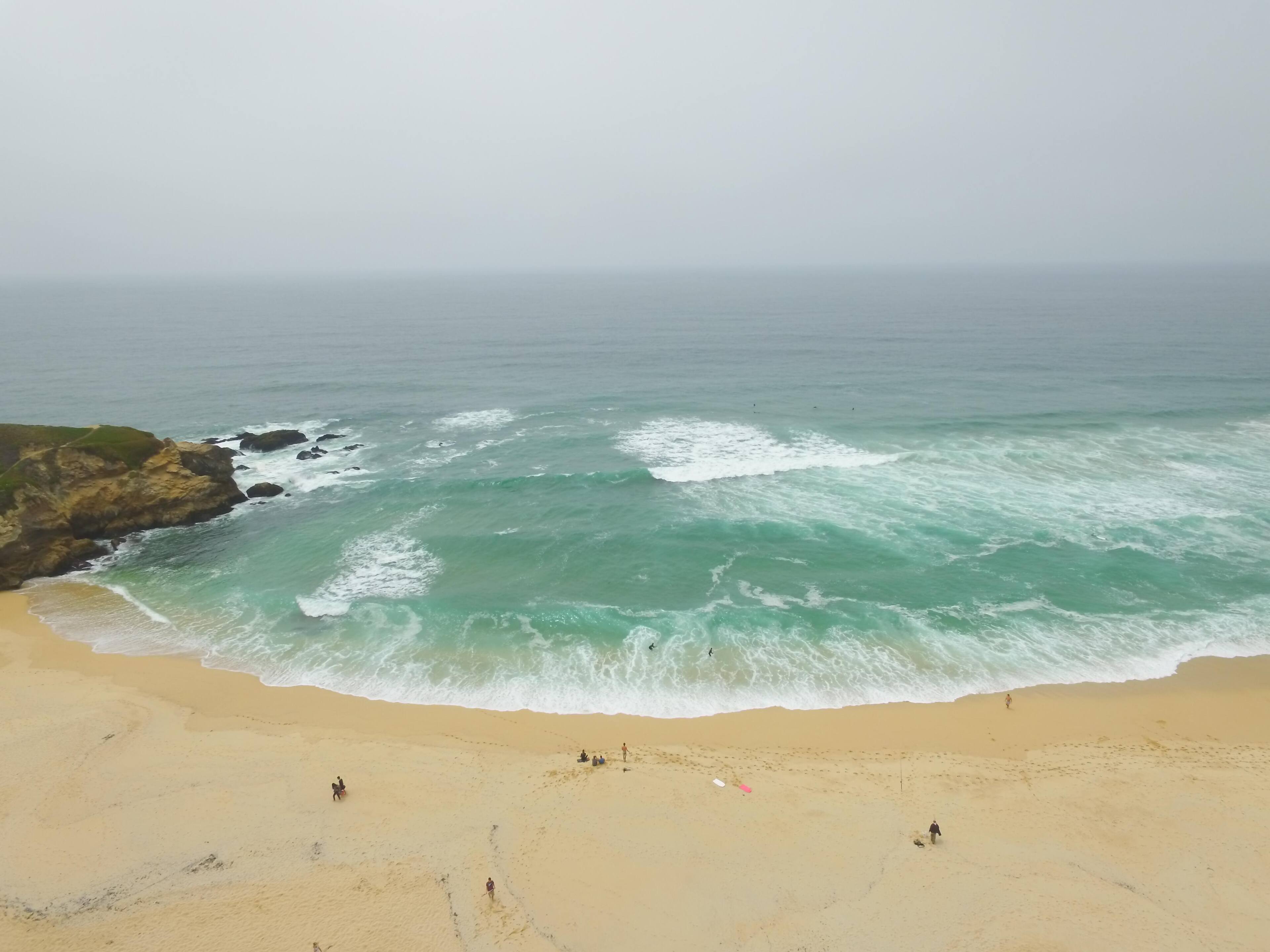 Flyn @ the beach!, click to load a larger version