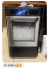 Rent to Own Insignia Insignia™ - Portable Nugget Ice Maker with Auto  Shut-Off - Stainless steel at Aaron's today!