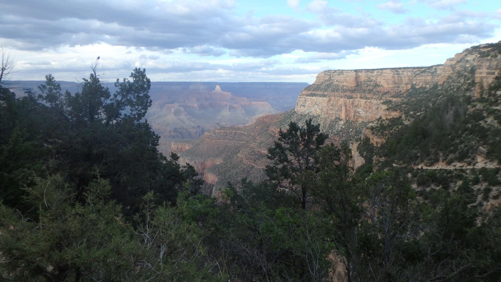 Good pic, click to load a larger version