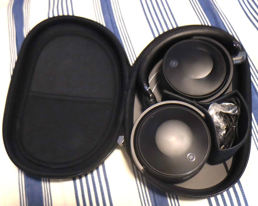 carrying case, click to load a larger version