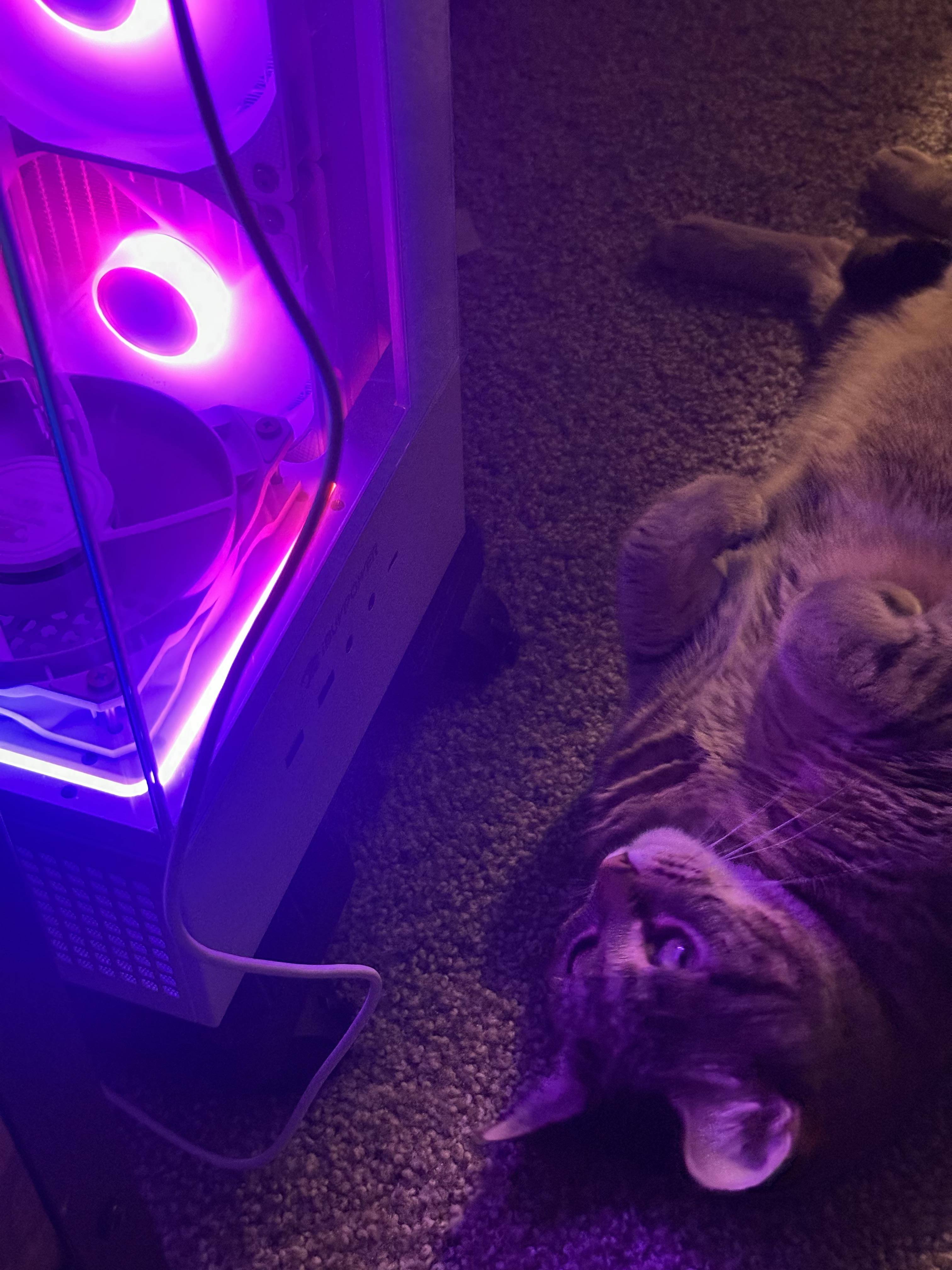 Customer provided image, click to load a larger version