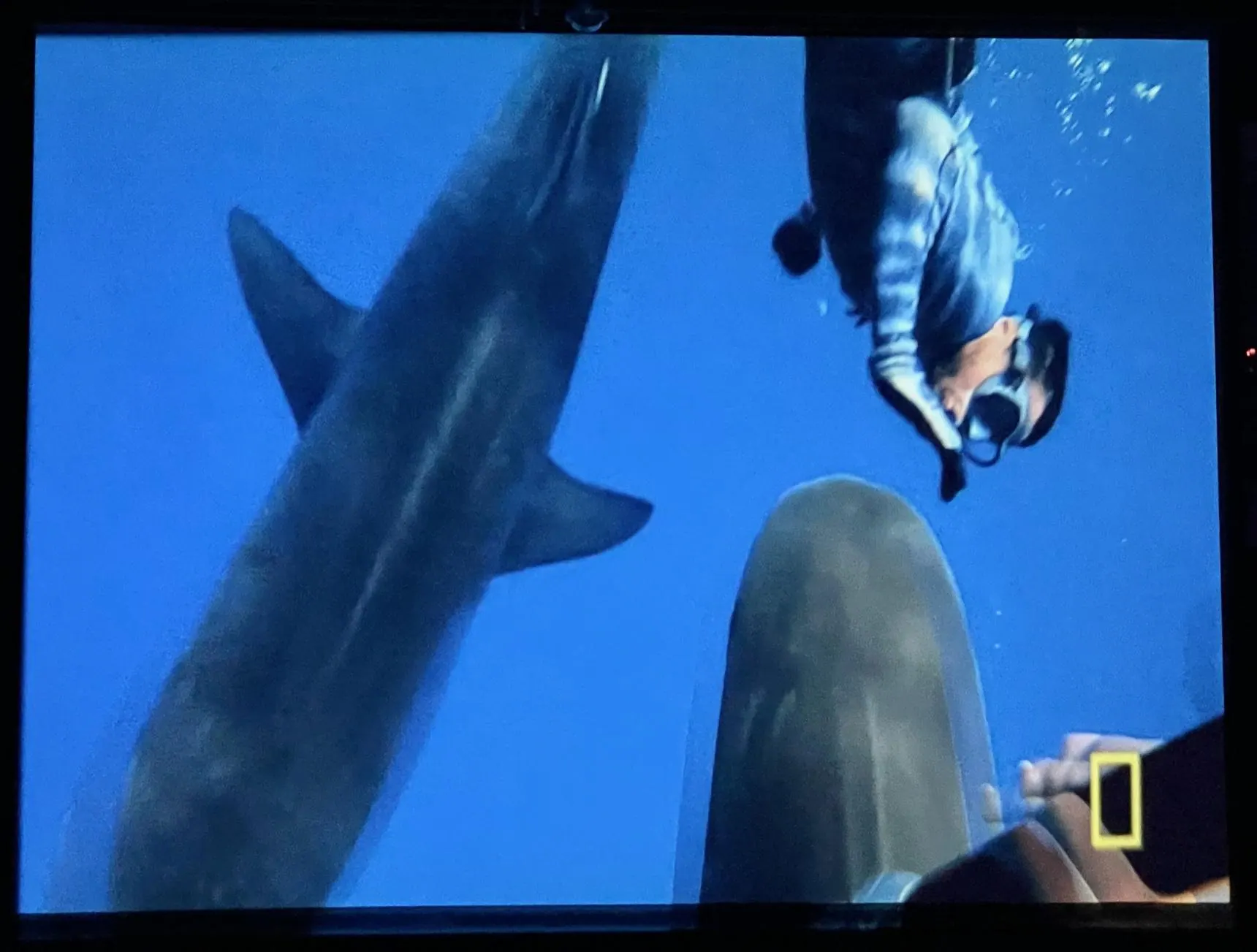 Photo of screen image, click to load a larger version