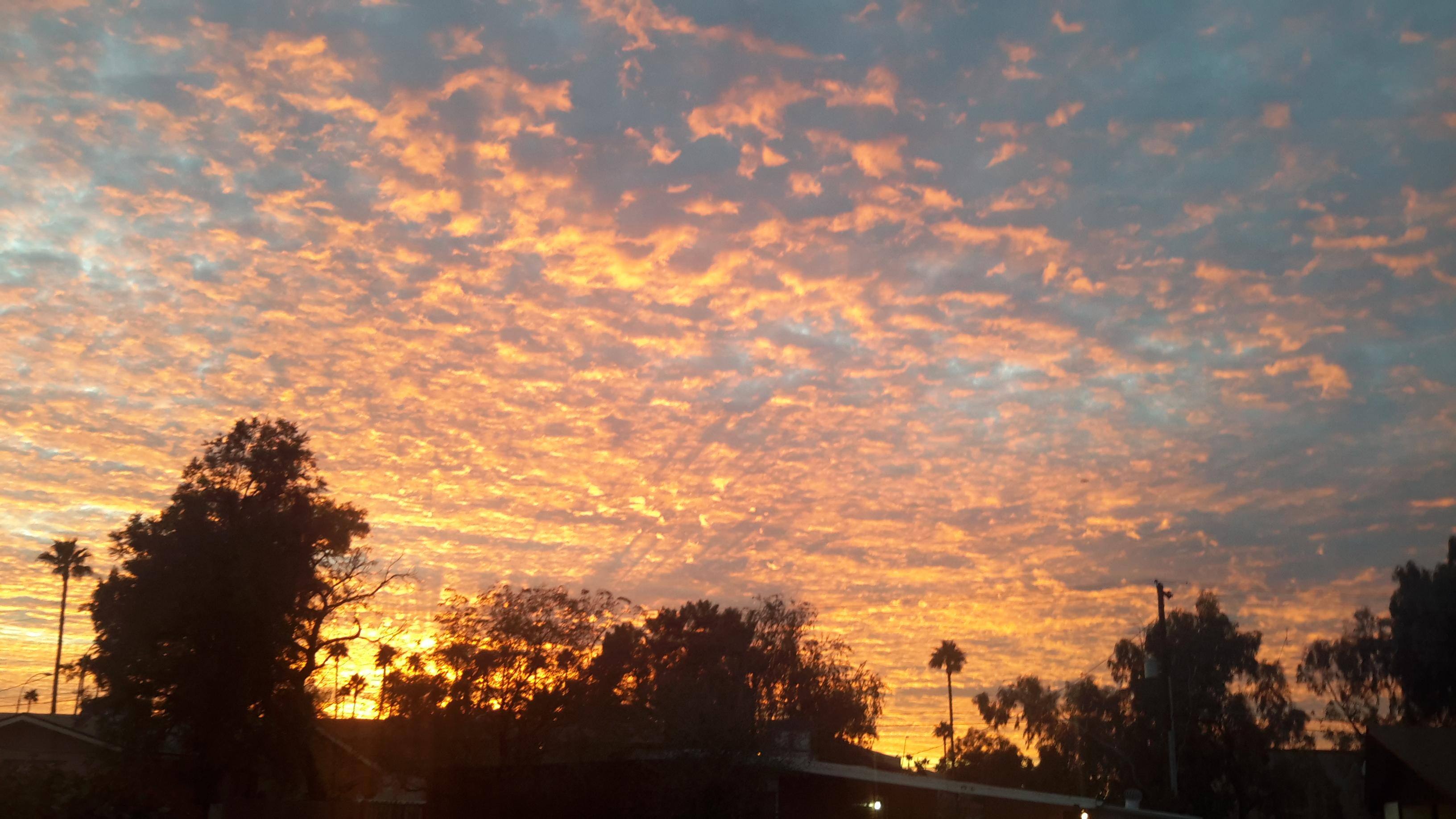 taken with bebop, click to load a larger version