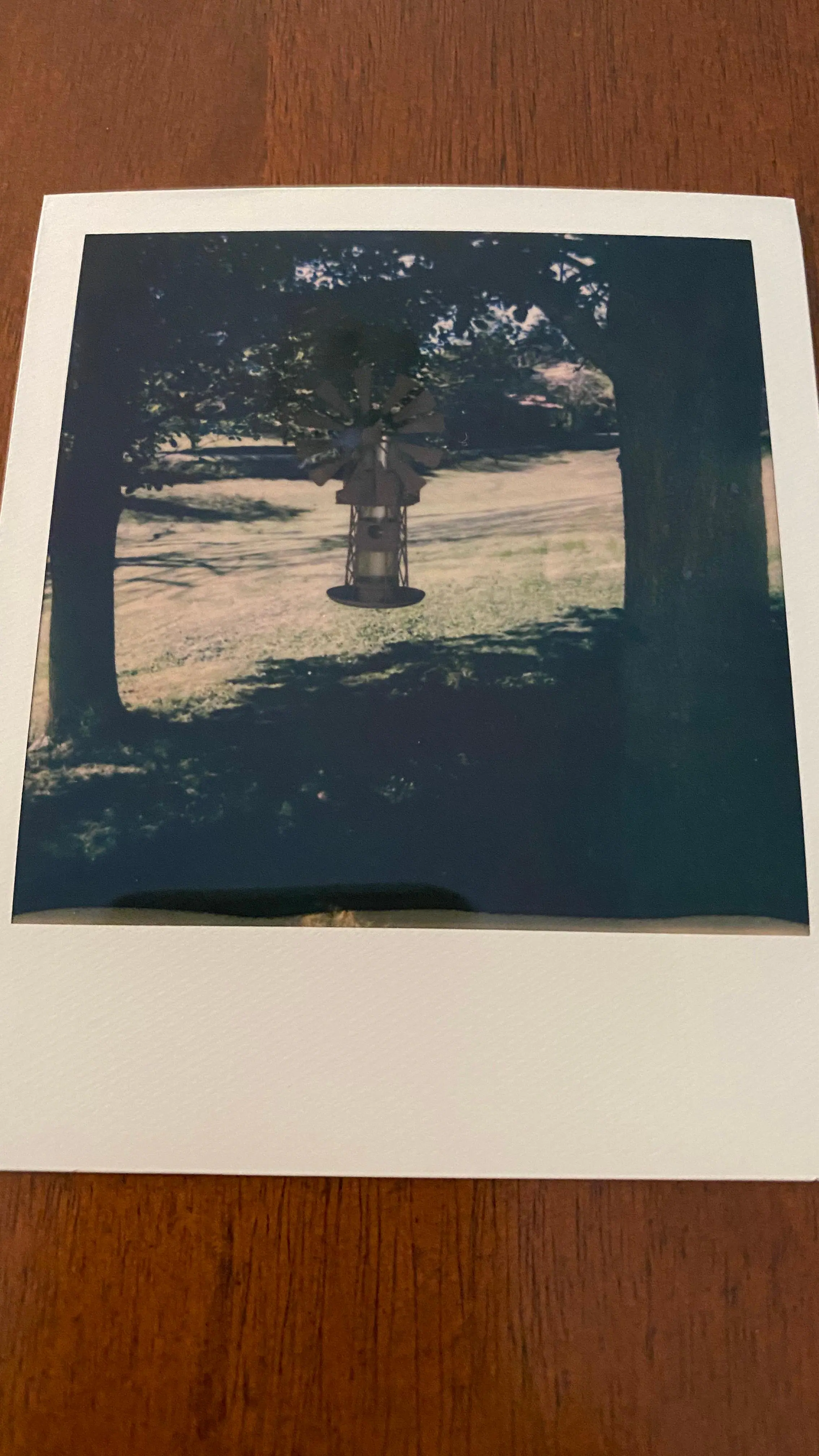 Windmill!, click to load a larger version