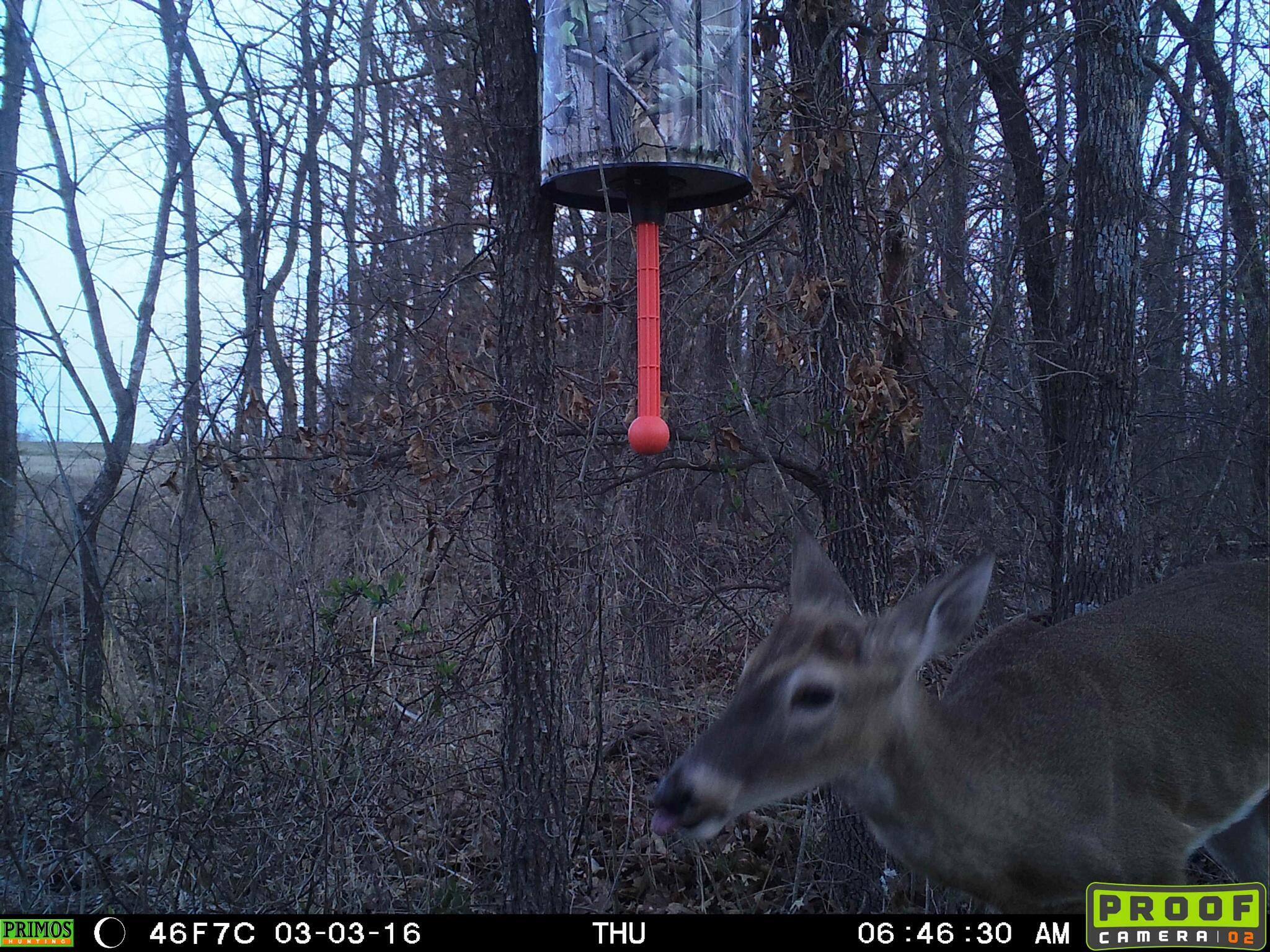 Customer provided image, click to load a larger version