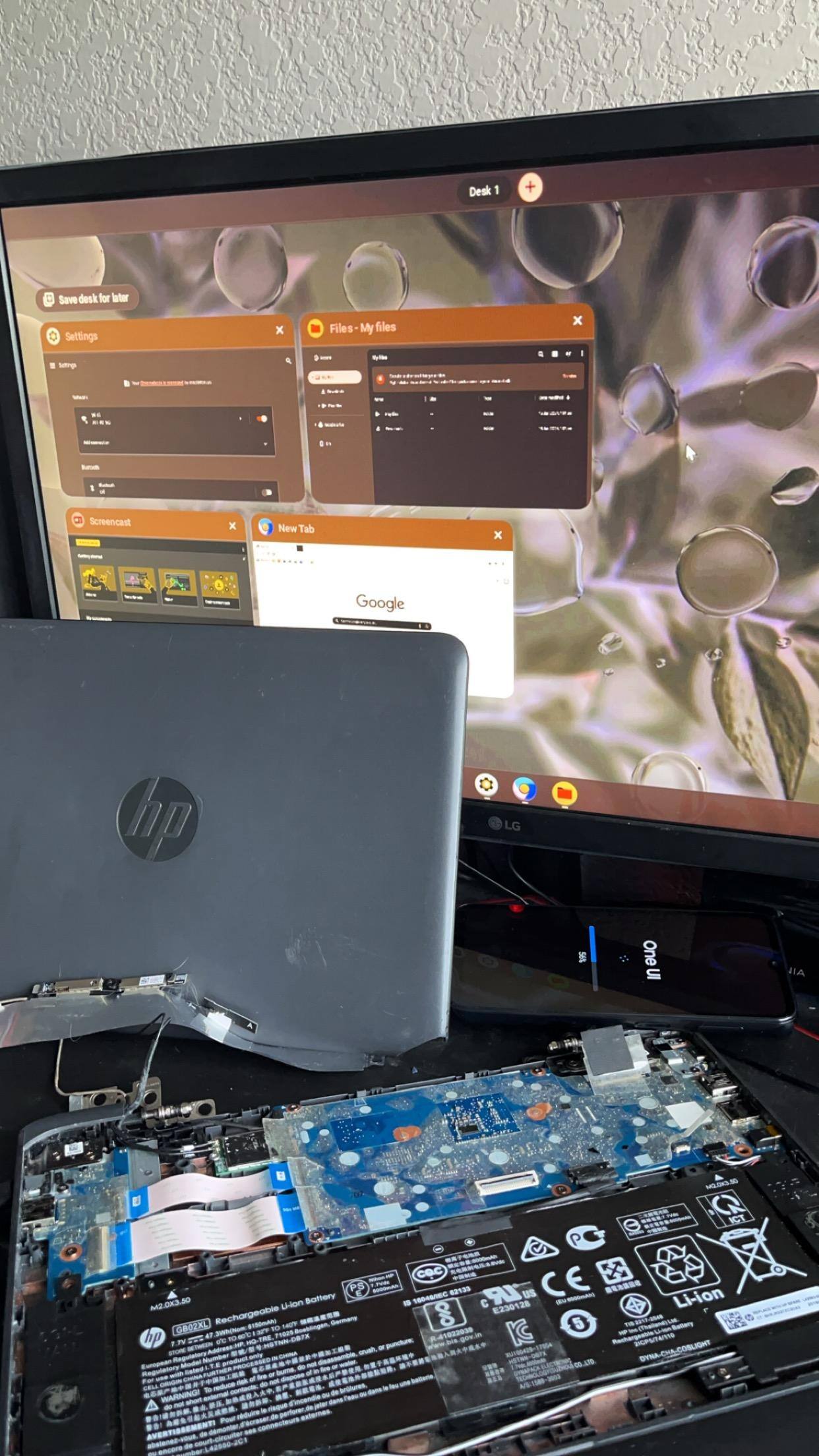 Customer provided image, click to load a larger version