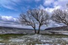 Seneca Lake on windy April Day, click to load a larger version