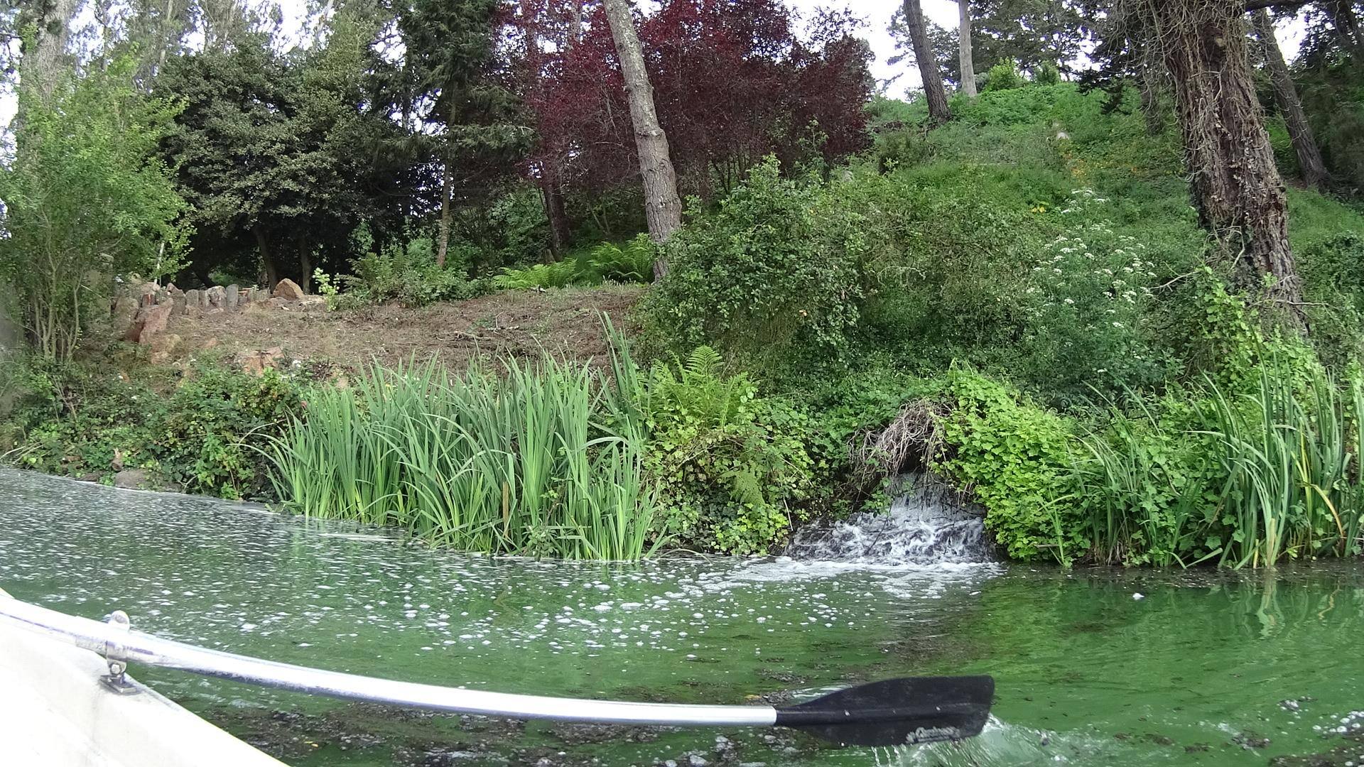 A small stream of water in Stow Lake at Golden Gate park., click to load a larger version