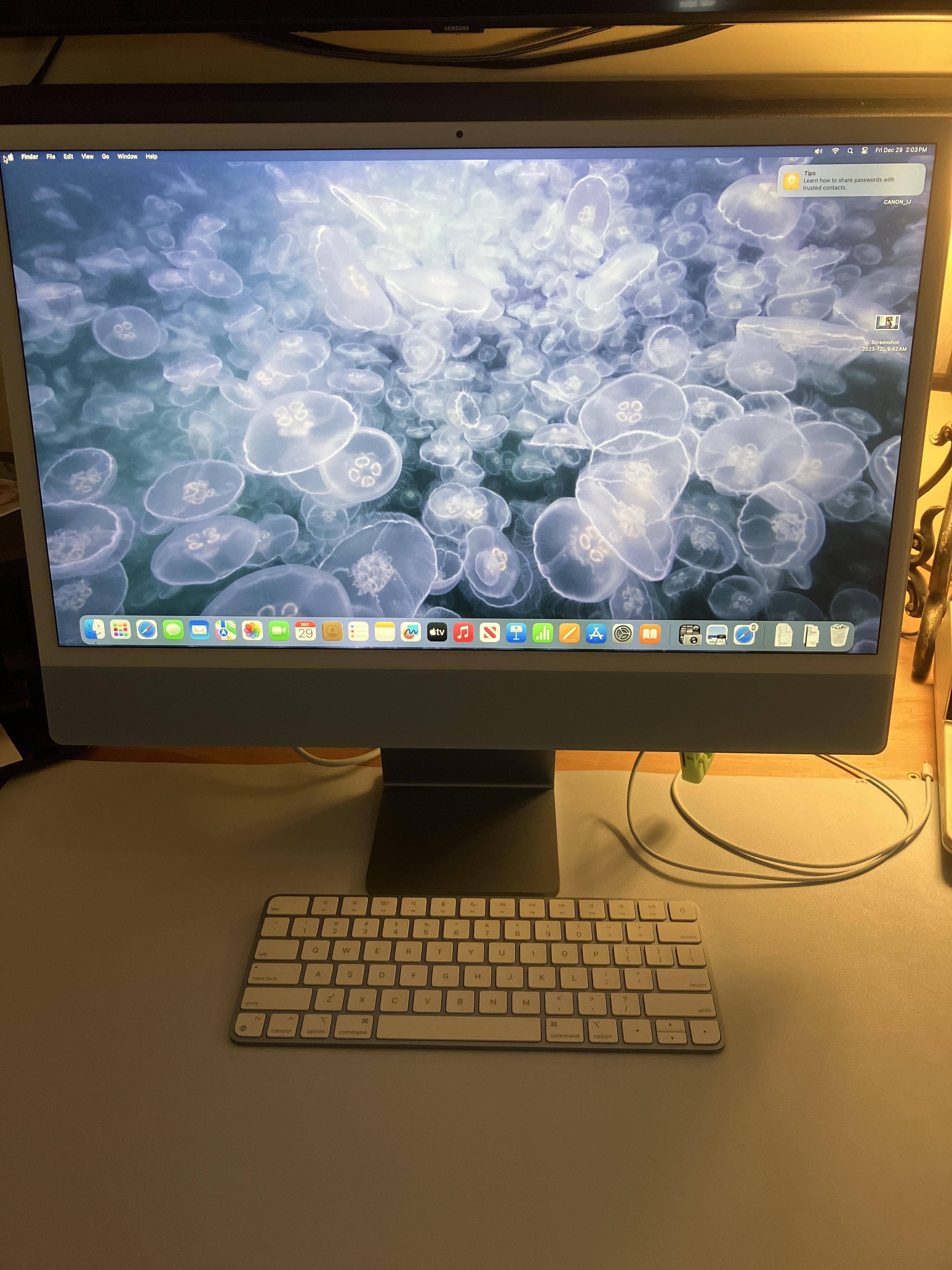 Apple iMac 24