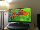 LG 27UK650-W Review 