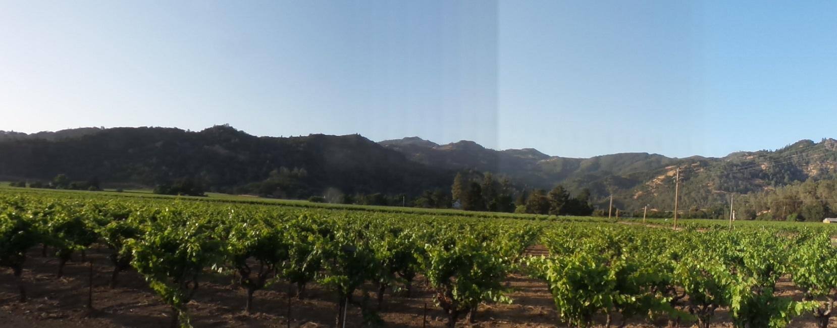 Panorama banding, click to load a larger version