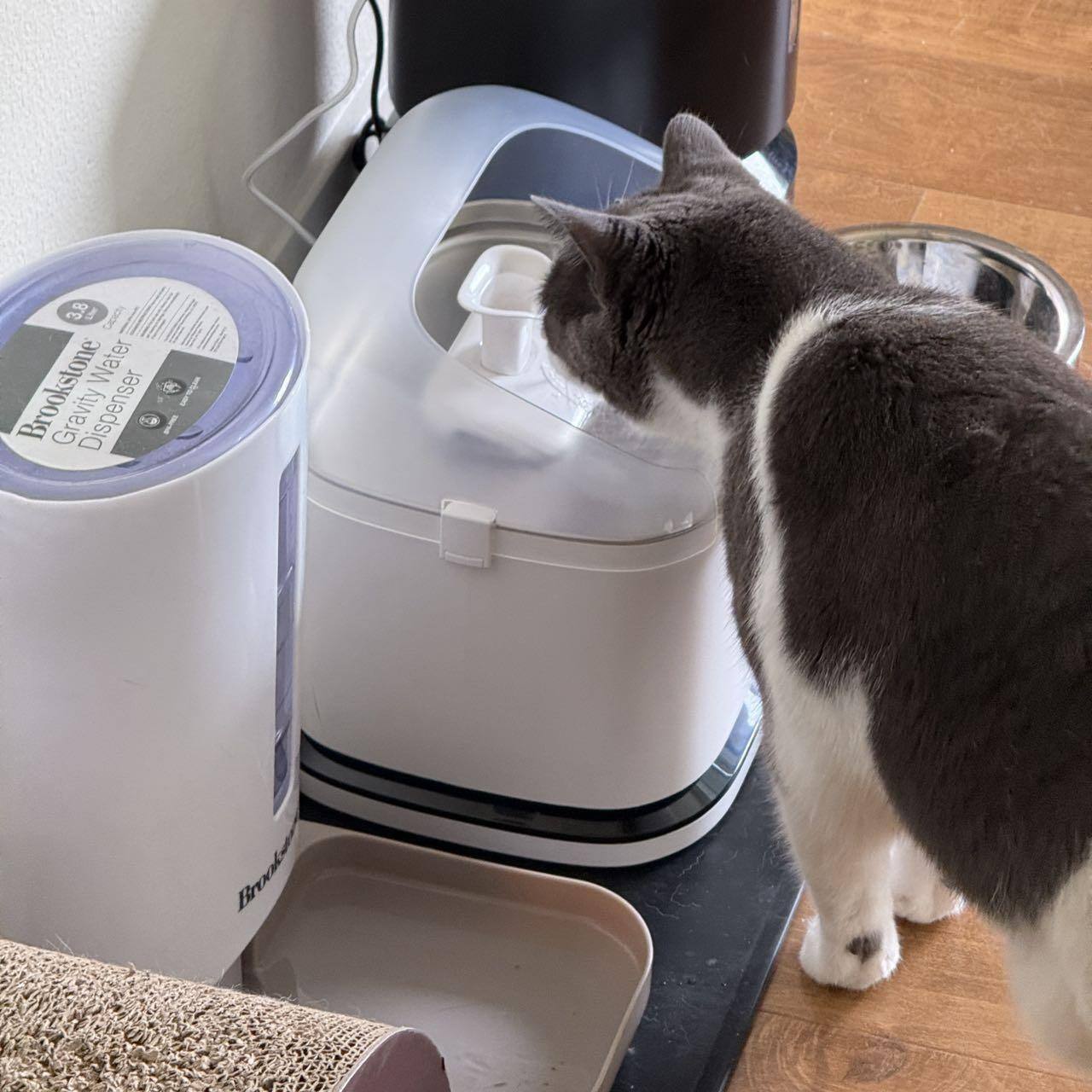 Customer provided image, click to load a larger version