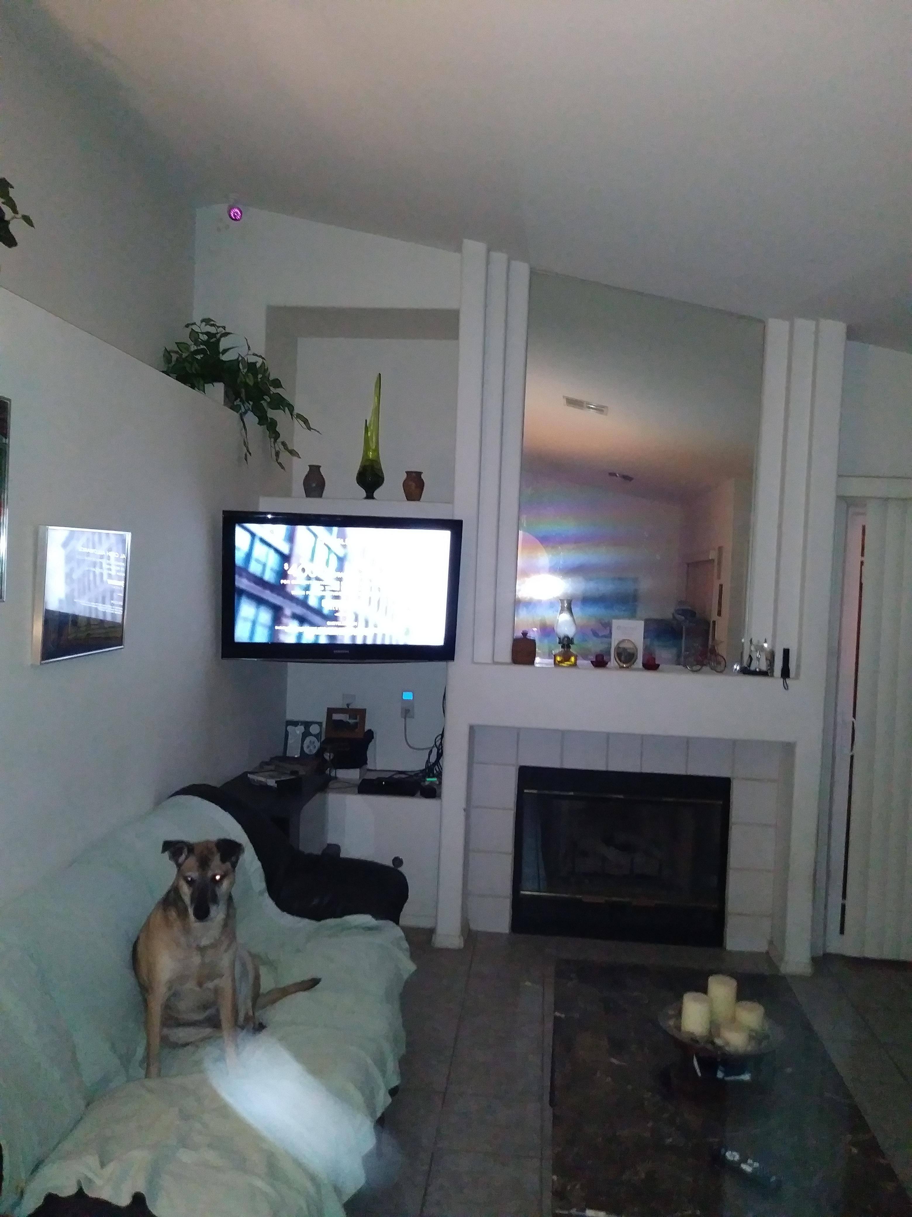 Customer provided image, click to load a larger version