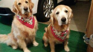 We use it too???, click to load a larger version