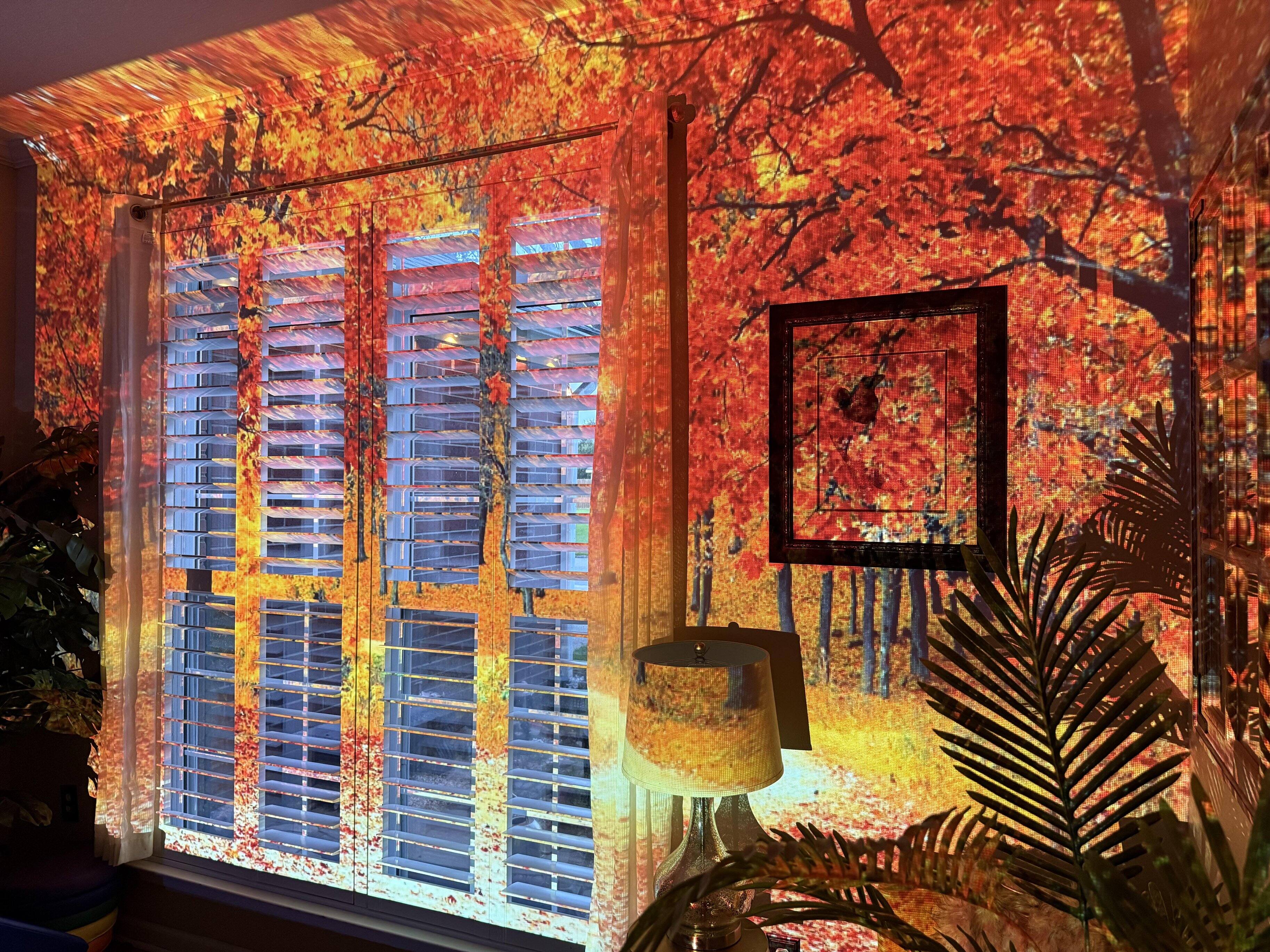 Bright colors even with shutters open, click to load a larger version